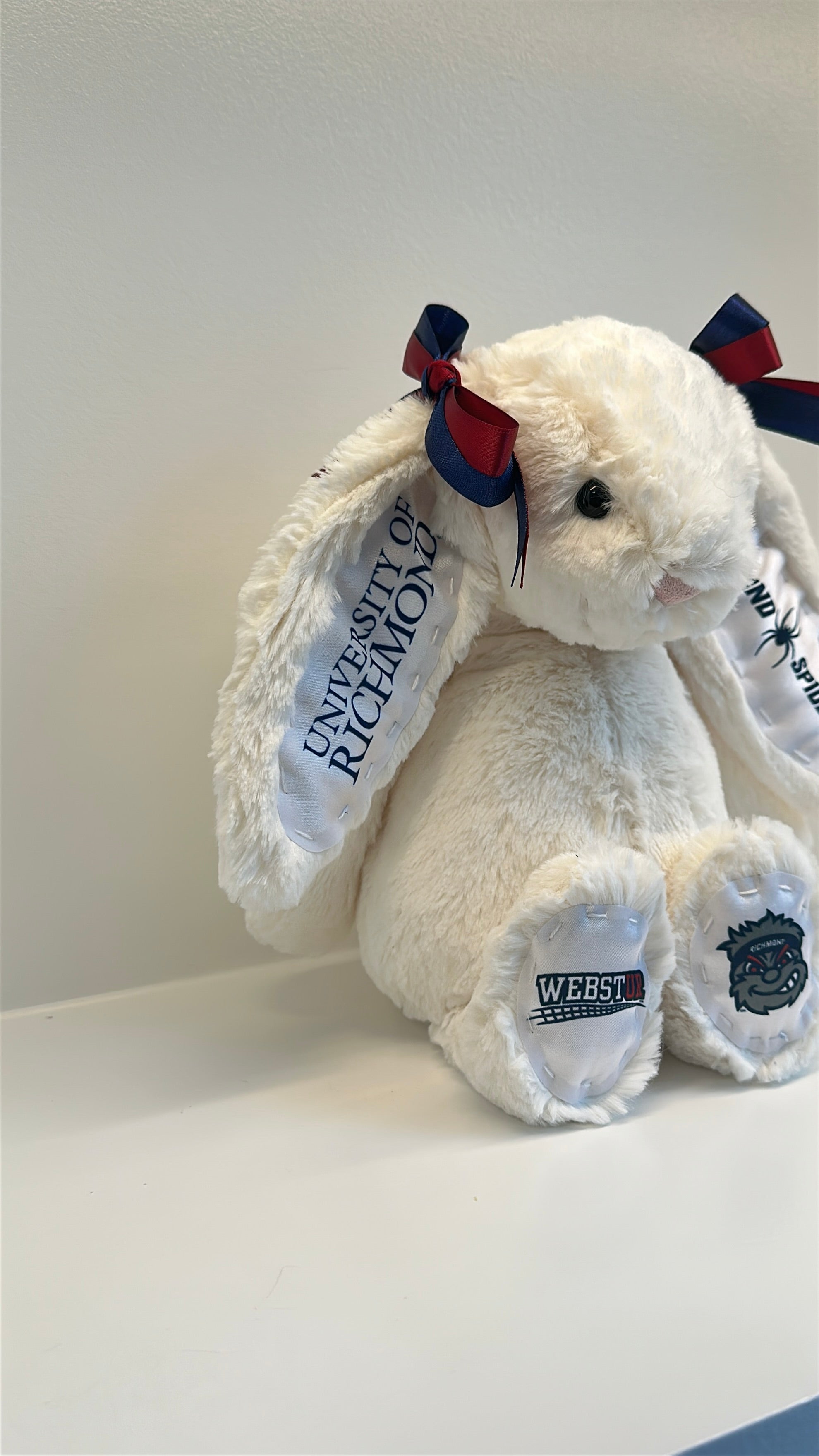 University of Richmond Custom College Jellycat Bashful Bunny