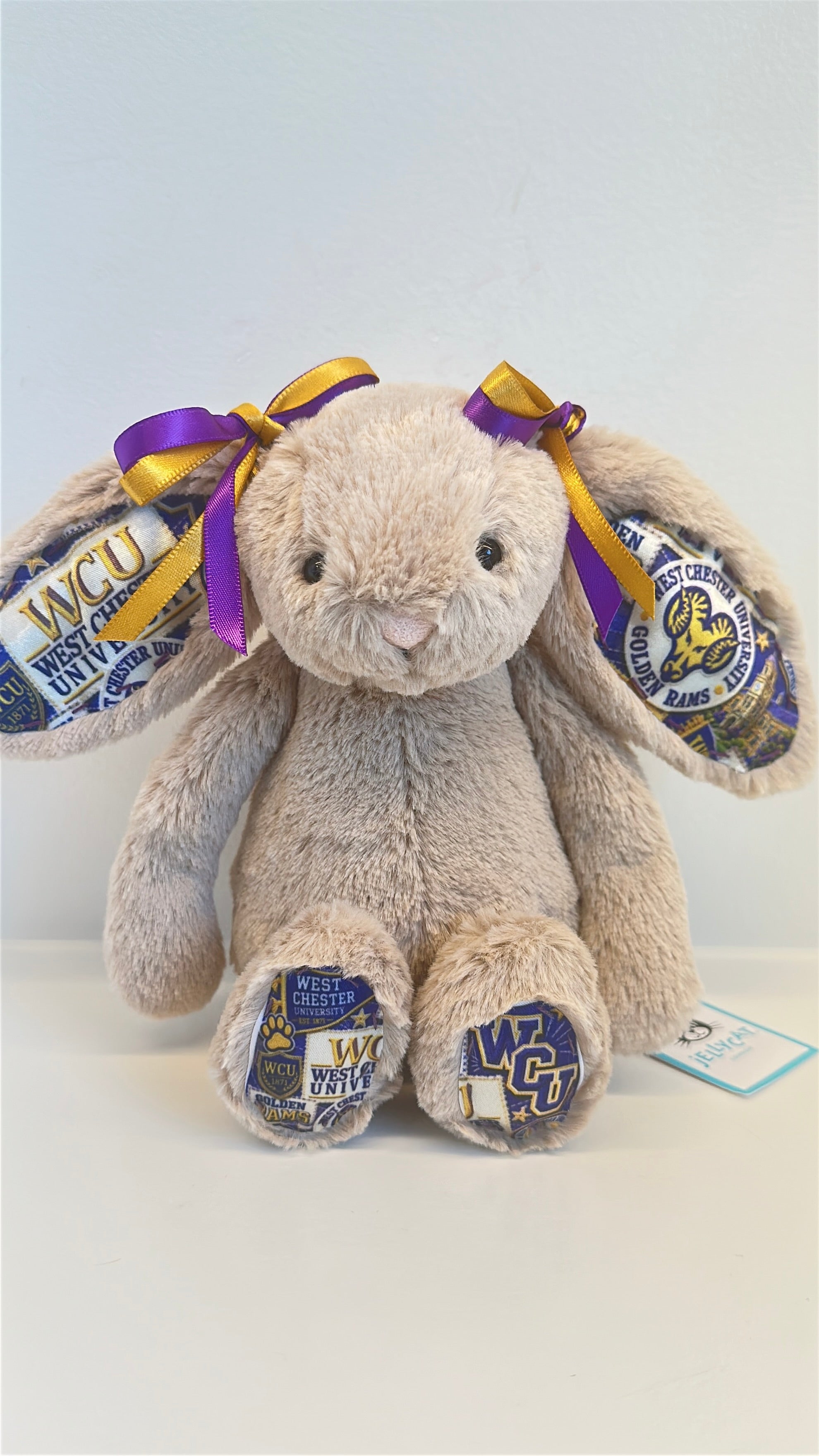 West Chester Fully Custom College Jellycat Bunny
