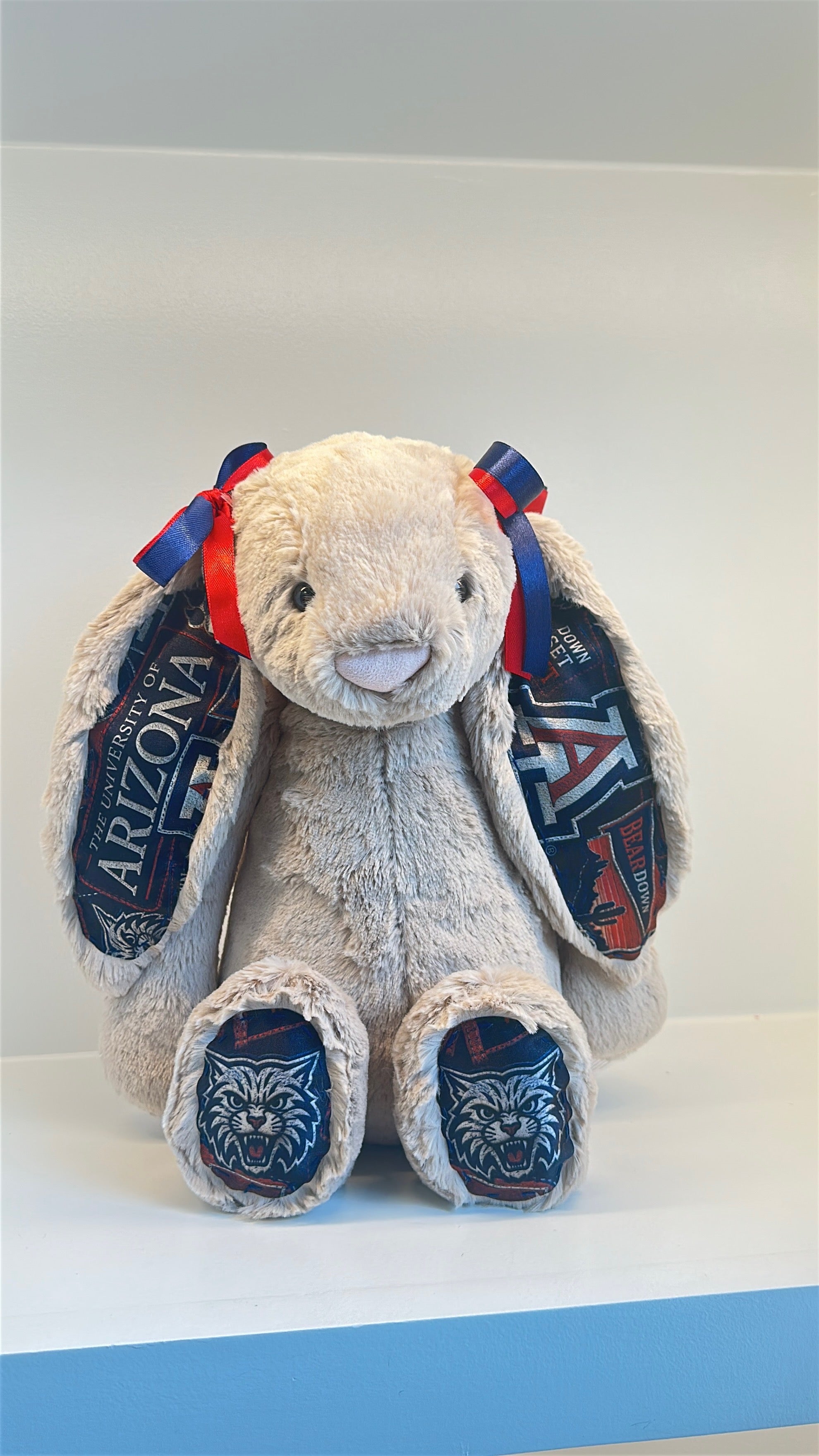 University of Arizona Custom College Jellycat Bunny