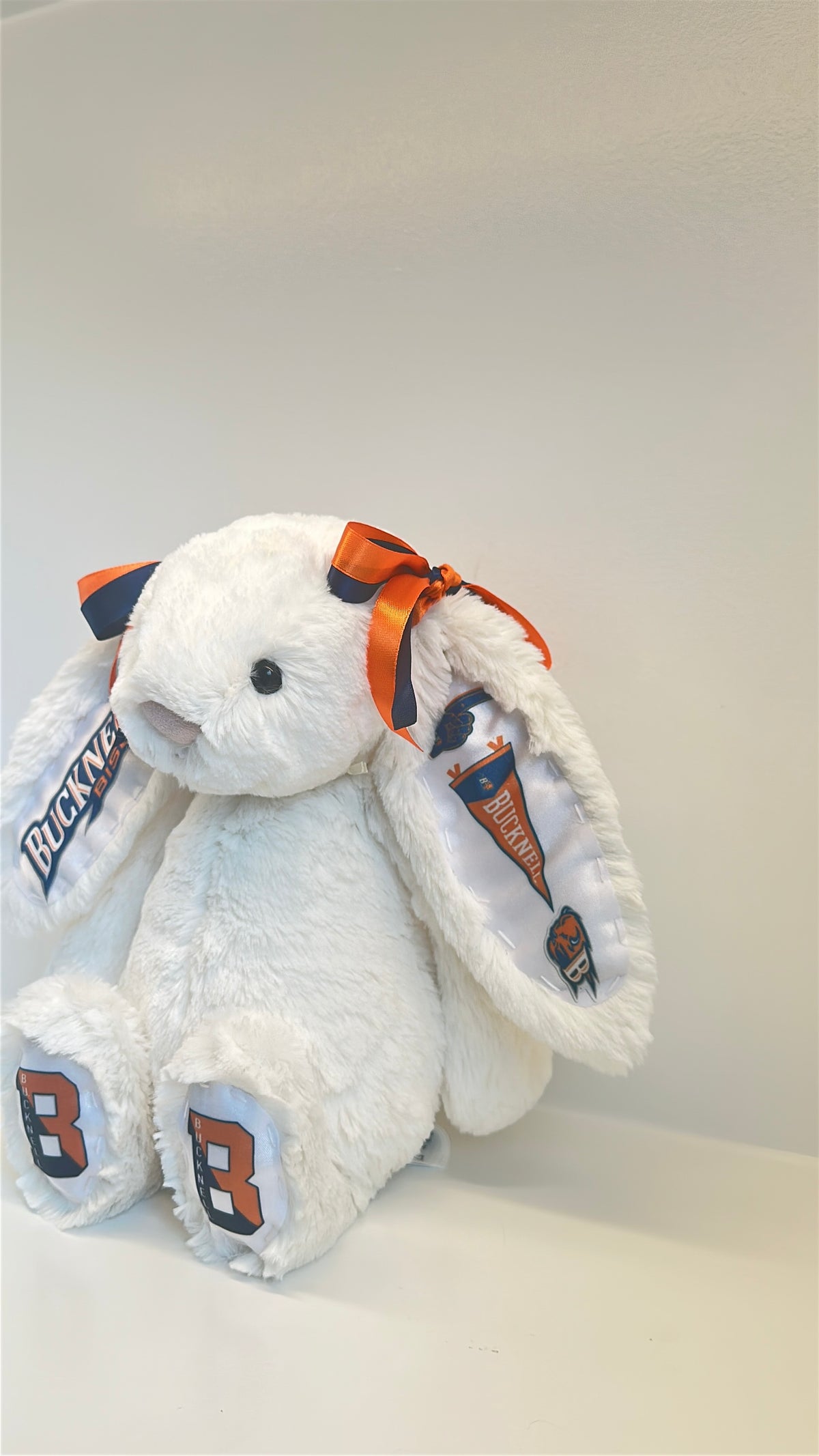 Bucknell Fully Custom College Jellycat Bunny