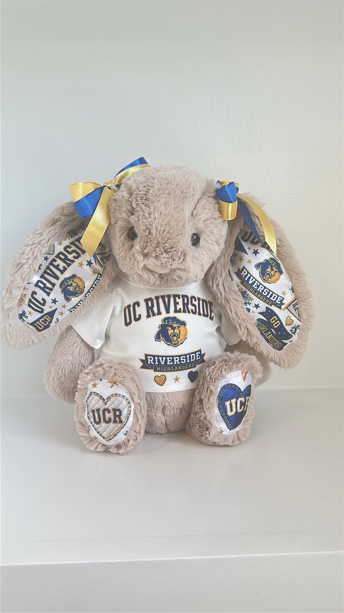 University of California Riverside (UCR) Fully Custom Jellycat Bunny