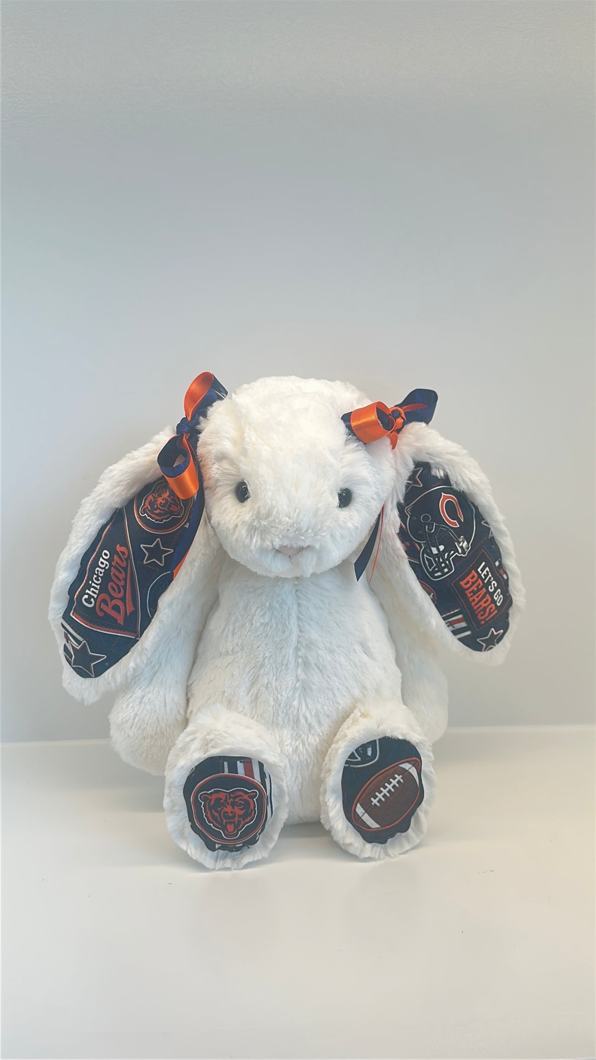 Custom Sports Team Bunny (NFL, NBA, MLB, NHL)