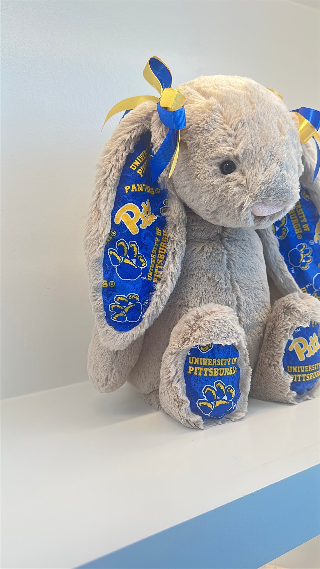 University of Pittsburgh Custom College Jellycat Bashful Bunny