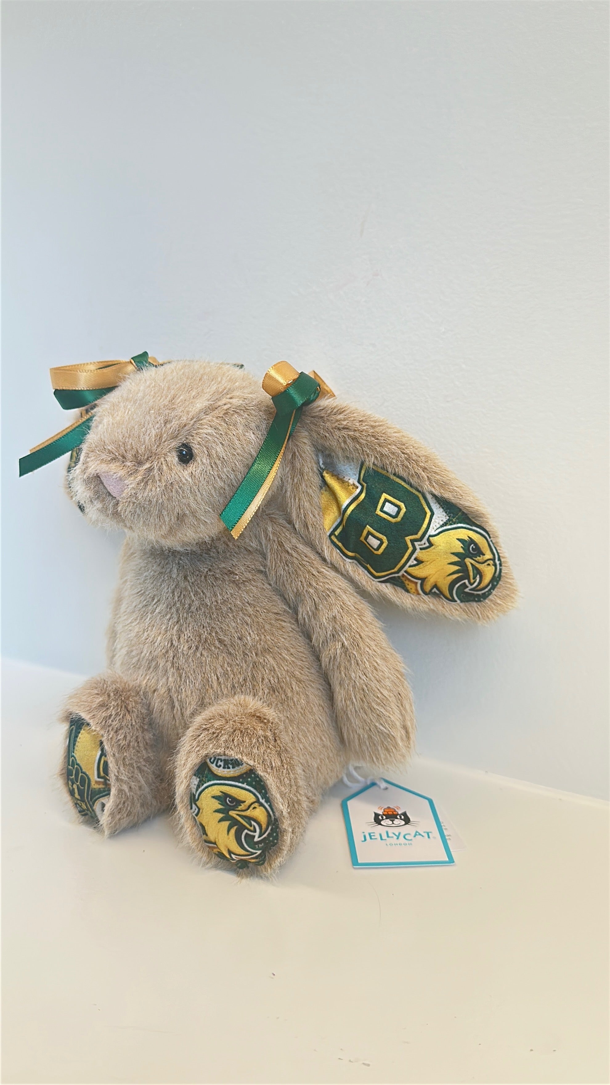 State University of New York Brockport (SUNY) Fully Custom College Jellycat Bunny