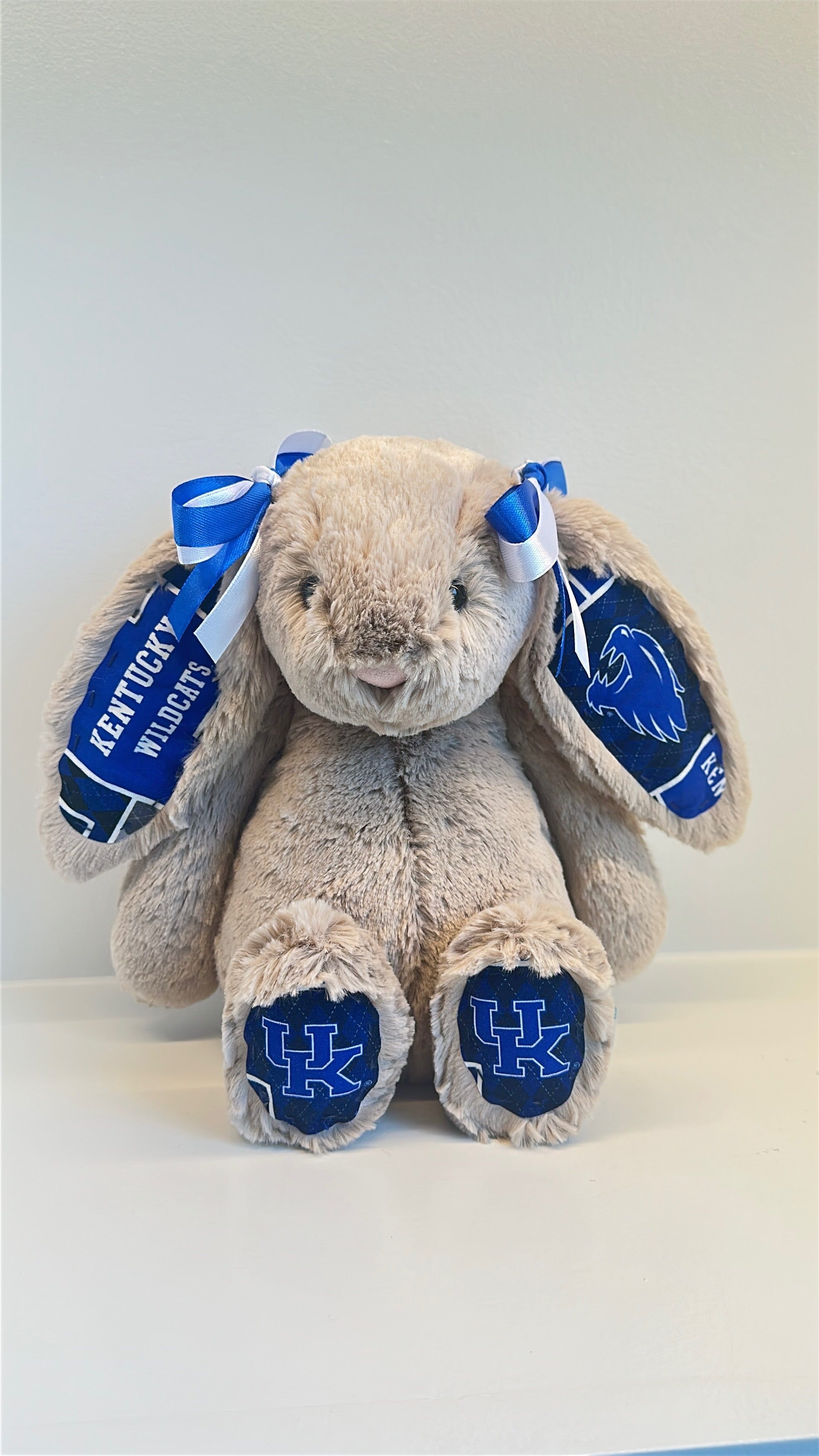 University of Kentucky College Jellycat Bunny