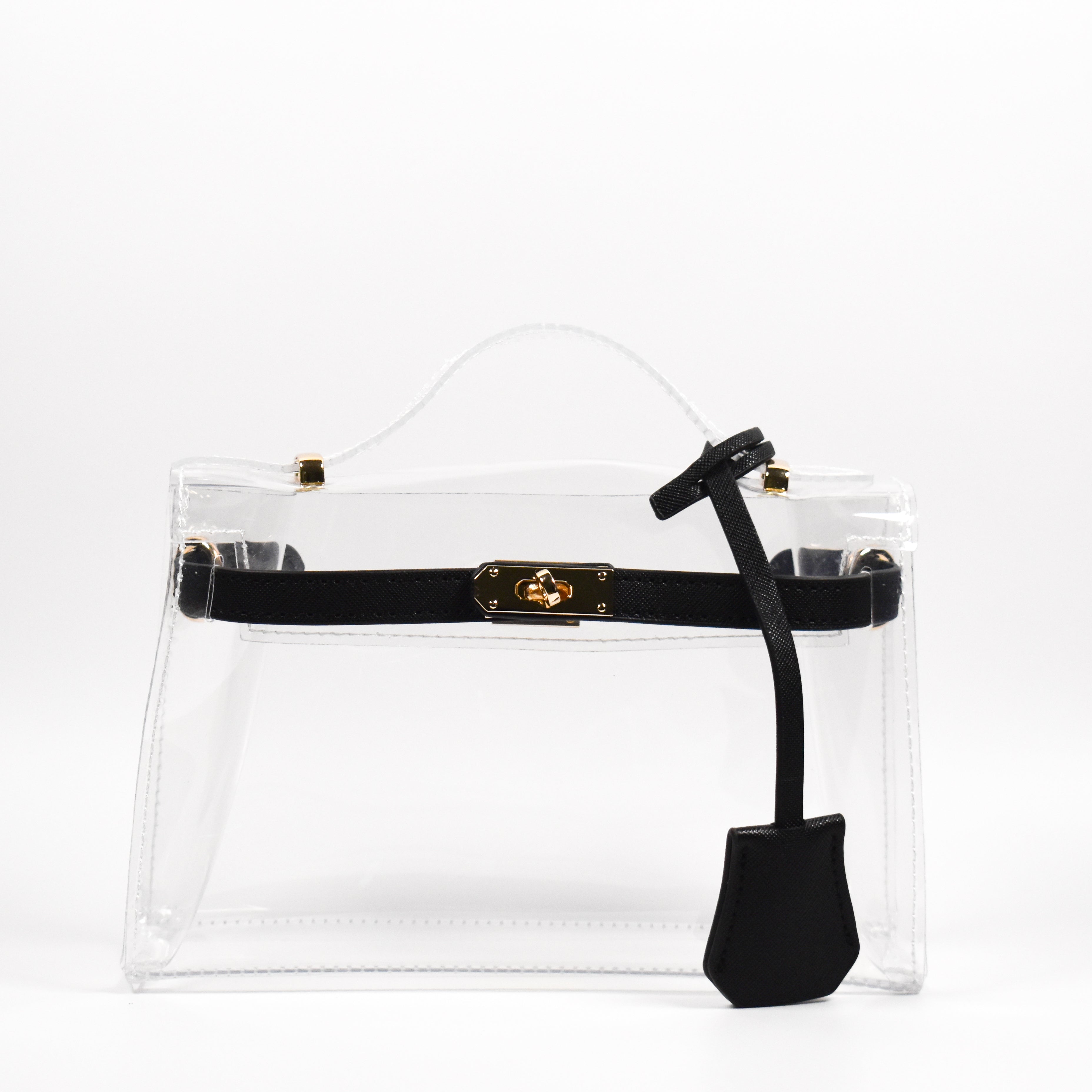 The Mini Andrea Clear Top Handle Bag