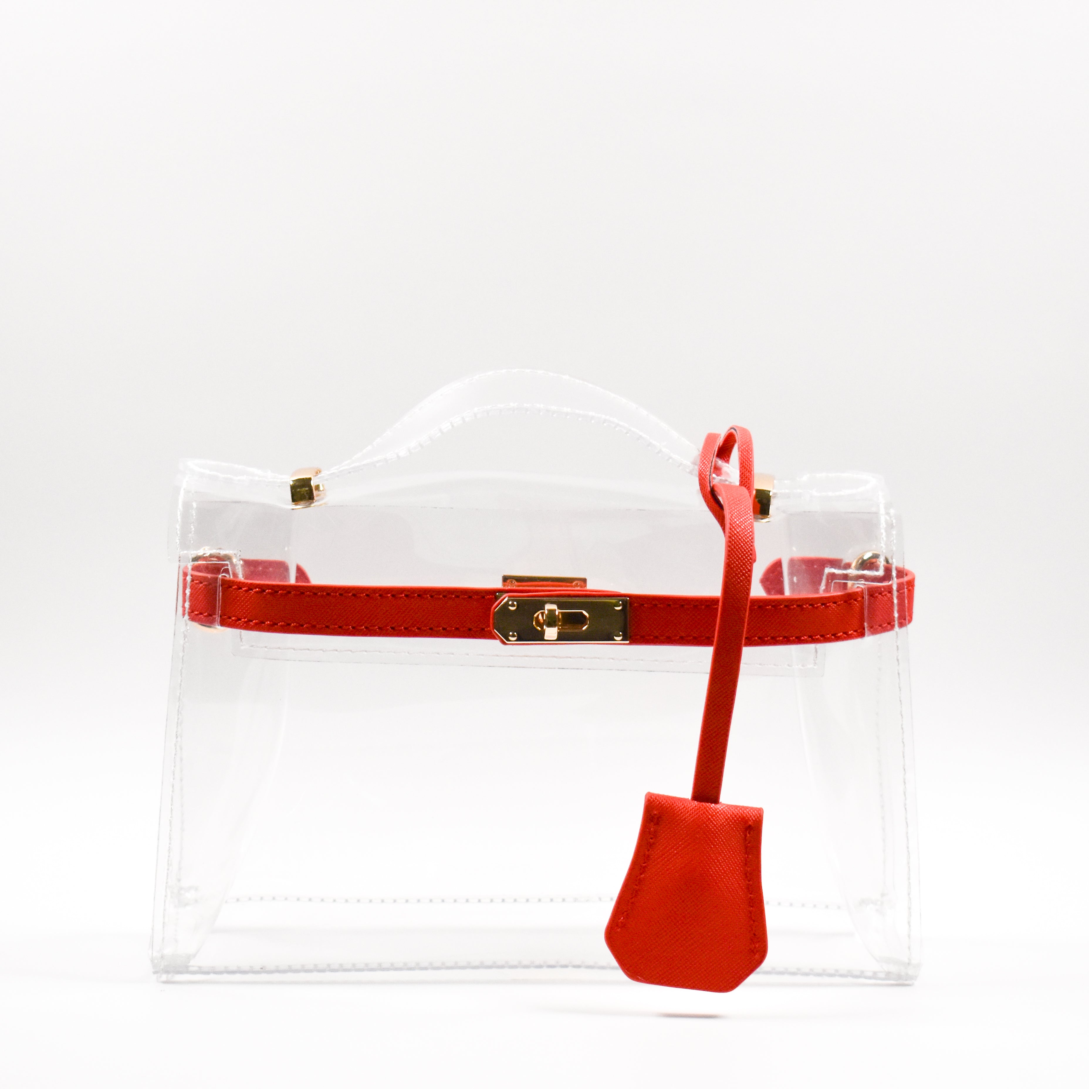 The Mini Andrea Clear Top Handle Bag