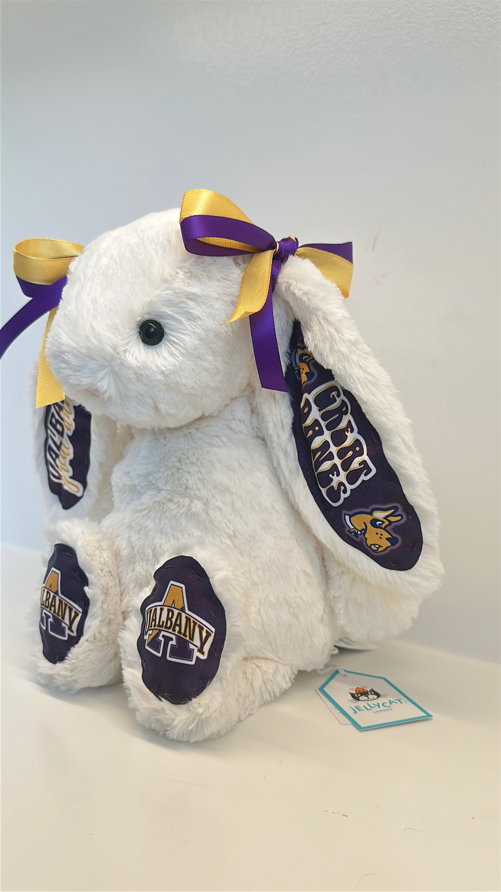 University at Albany Custom College Jellycat Bashful Bunny