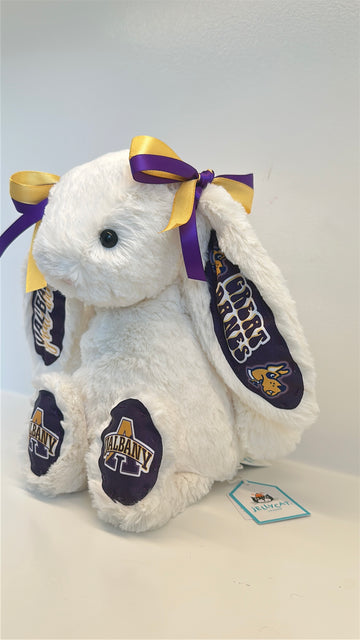 University at Albany Custom College Jellycat Bashful Bunny