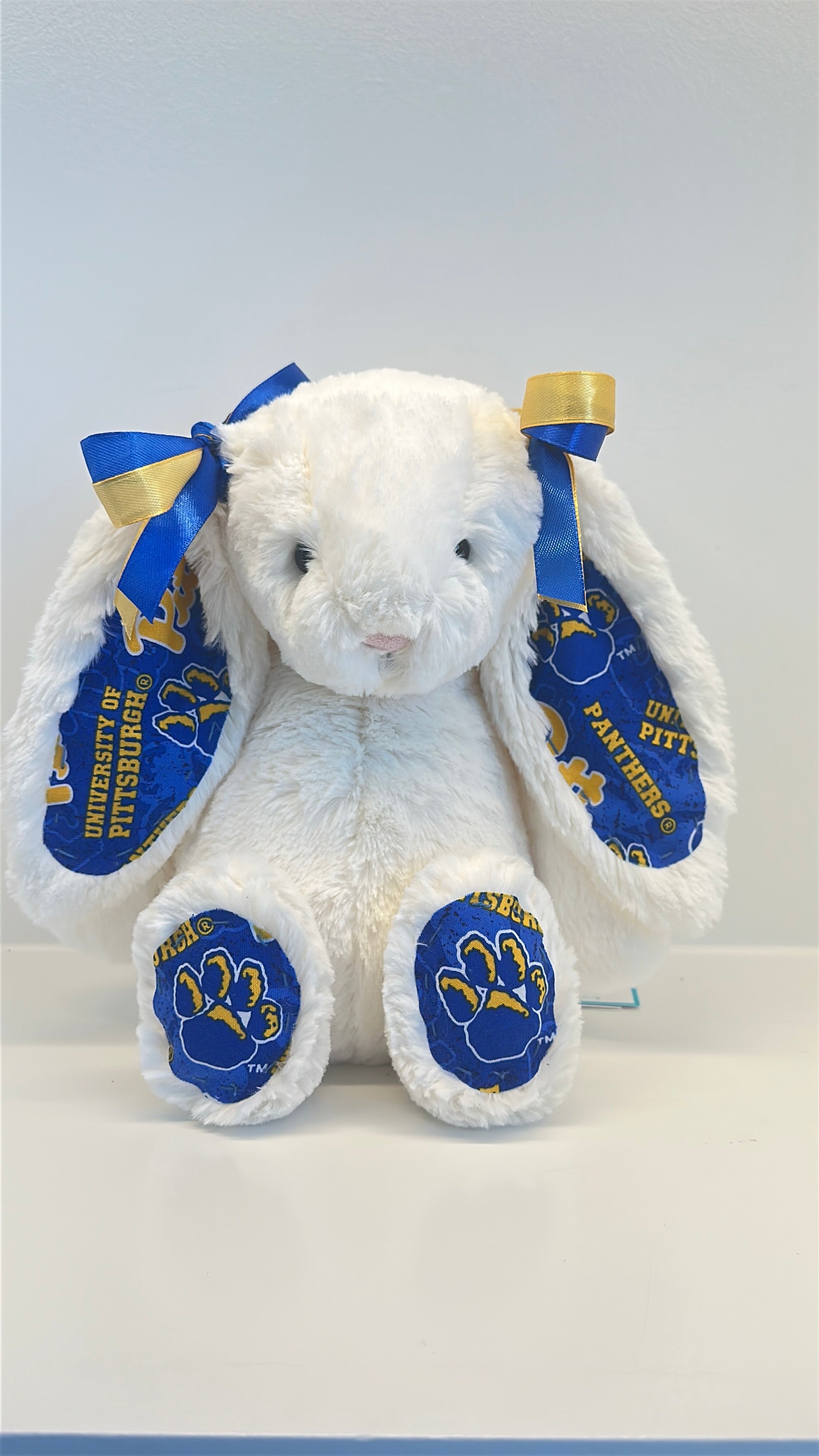University of Pittsburgh Custom College Jellycat Bashful Bunny