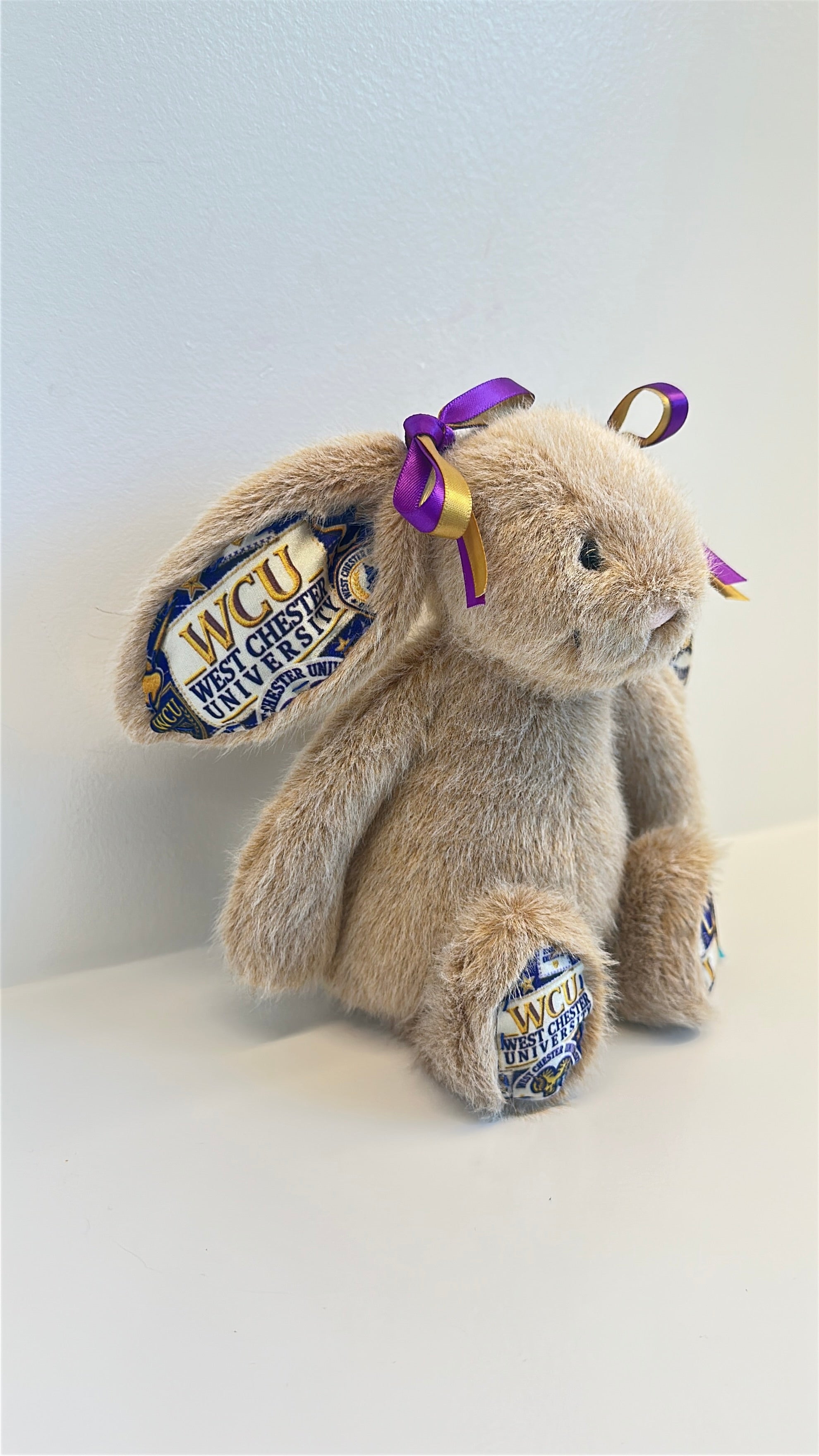 West Chester Fully Custom College Jellycat Bunny