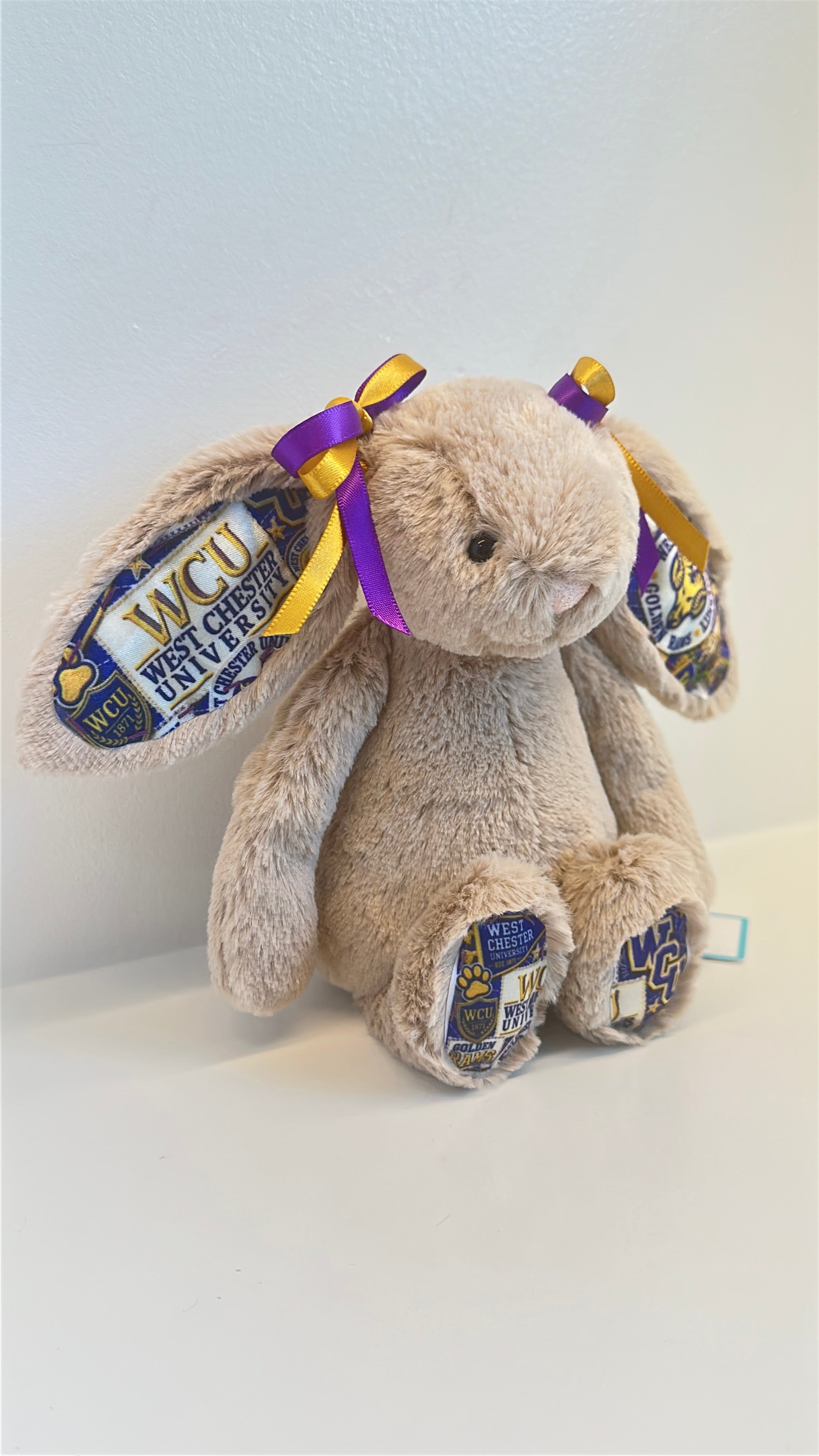 West Chester Fully Custom College Jellycat Bunny
