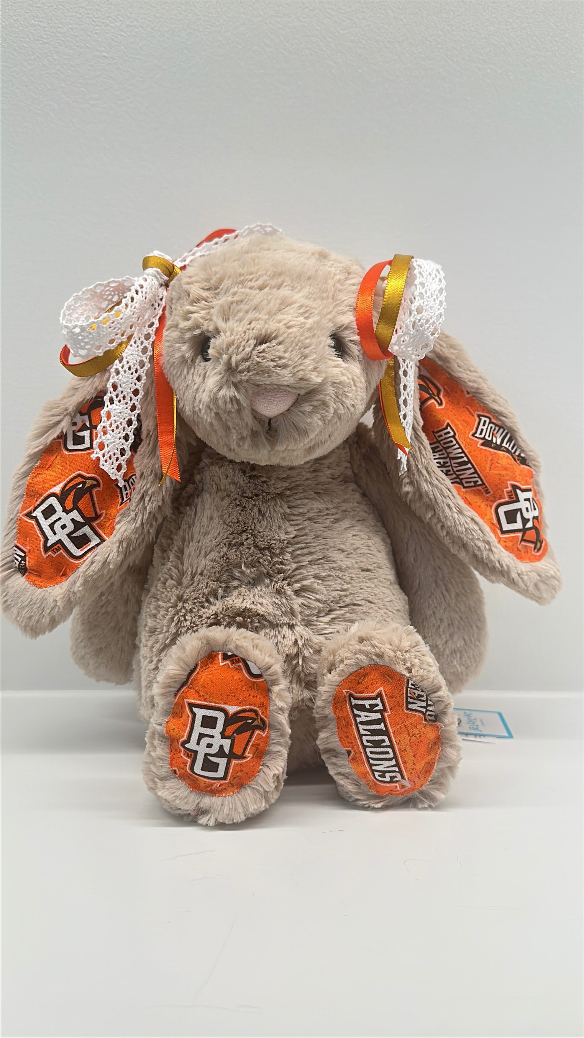 Custom College Jellycat Bashful Bunny