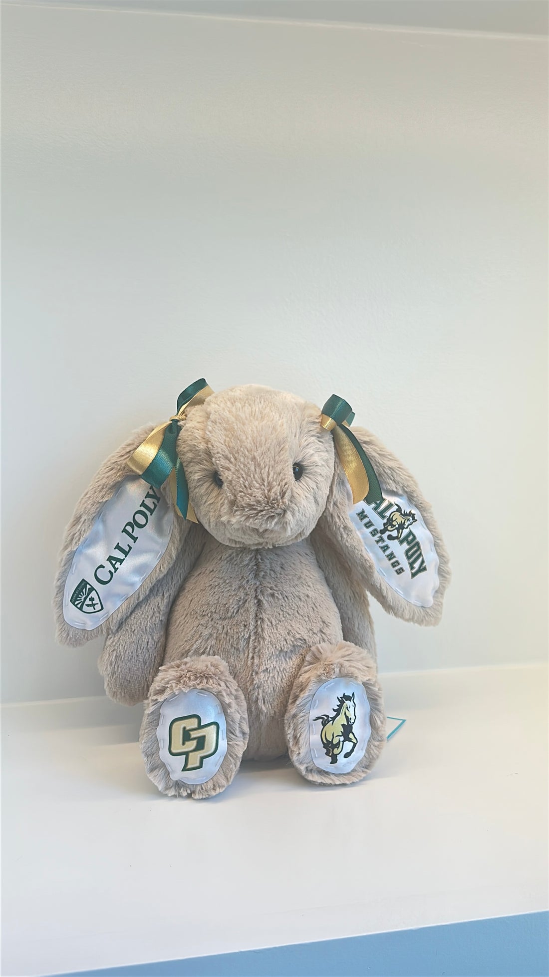 California Polytechnic State University (Cal Poly) Fully Custom College Jellycat Bunny