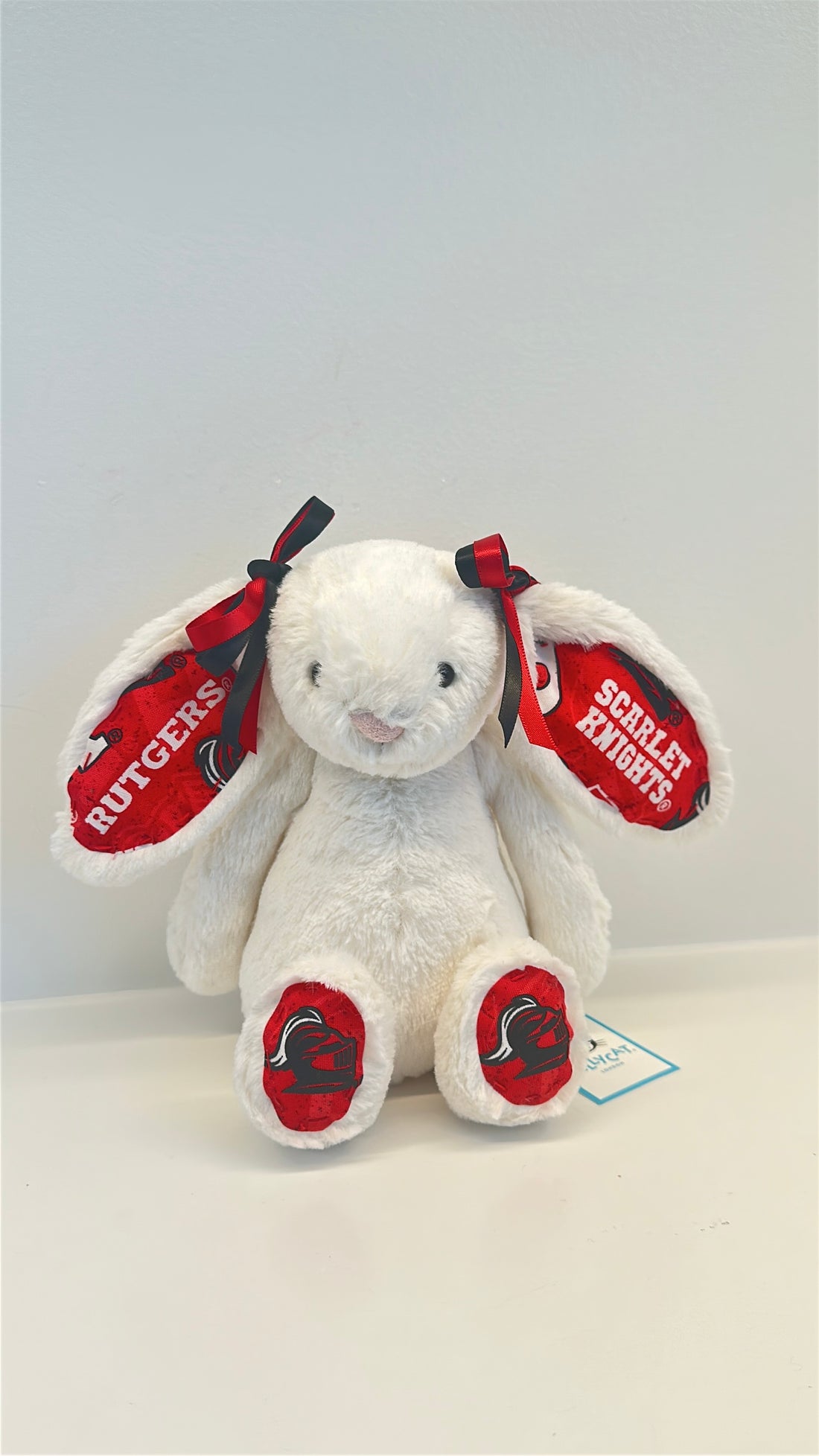 Rutgers University Fully Custom Jellycat Bunny