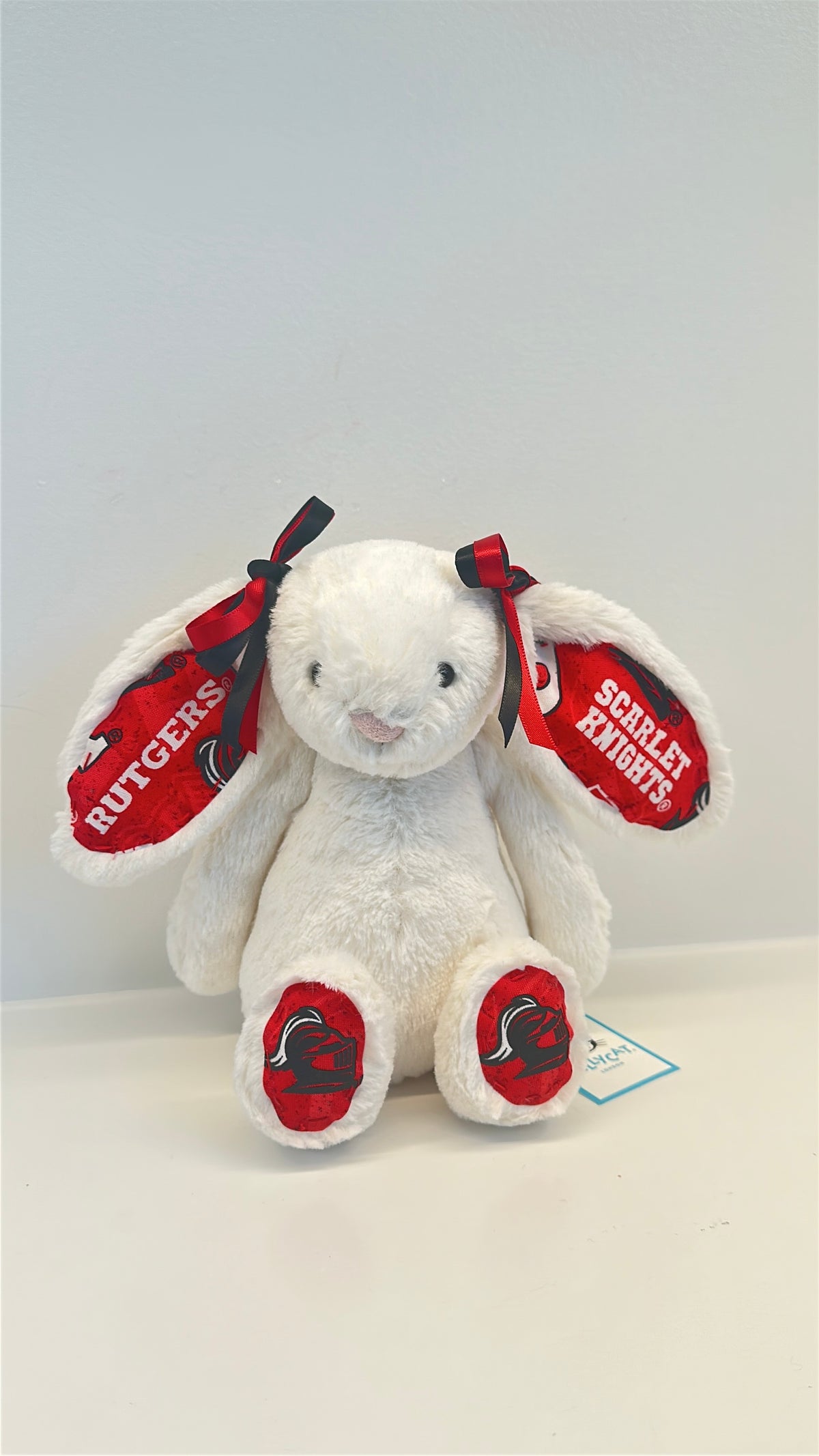 Rutgers University Fully Custom Jellycat Bunny