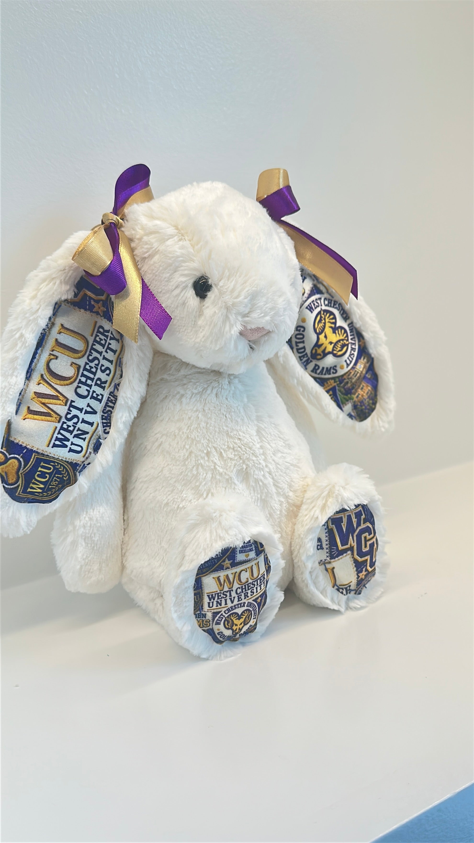West Chester Fully Custom College Jellycat Bunny