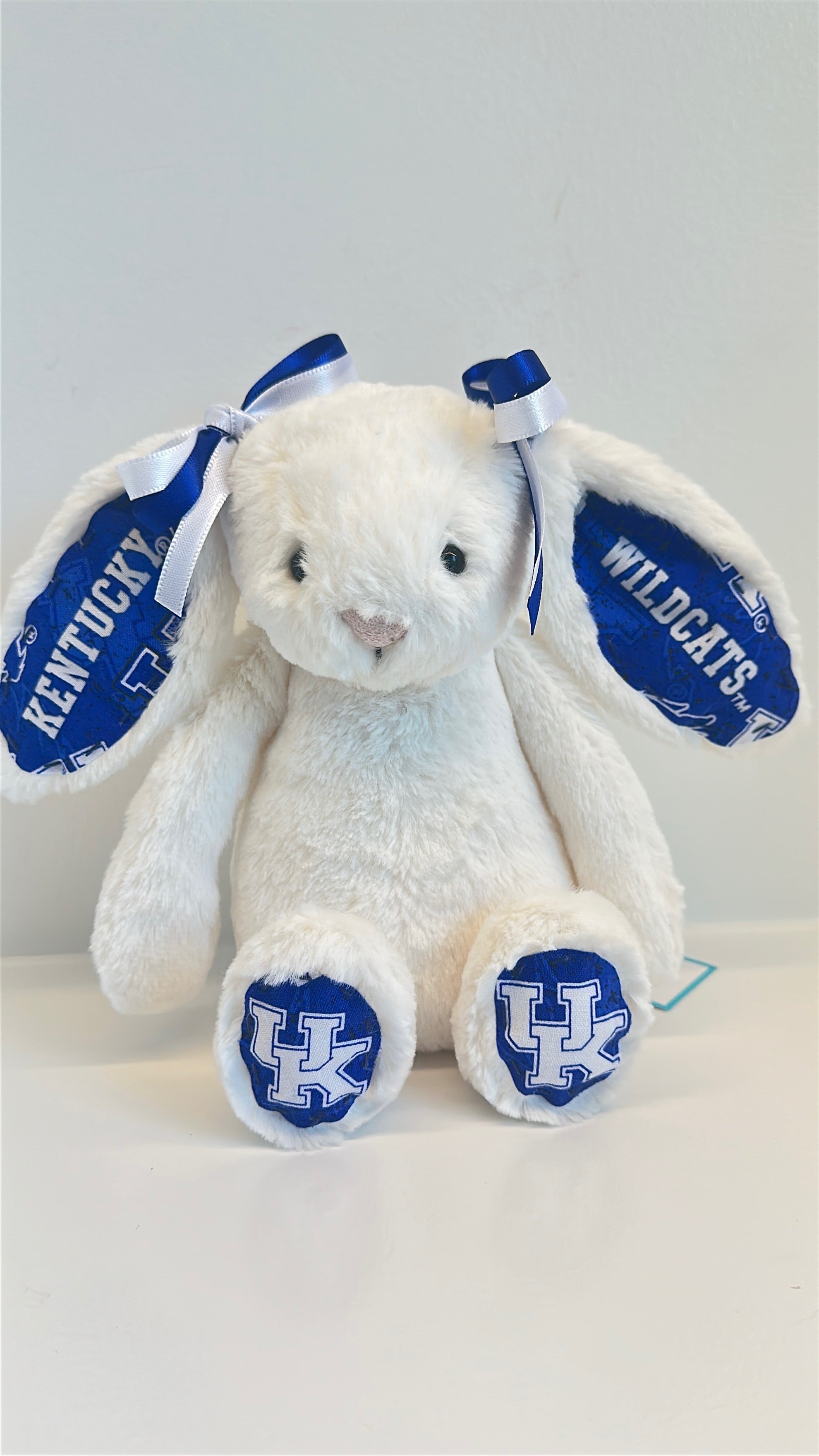 University of Kentucky College Jellycat Bunny