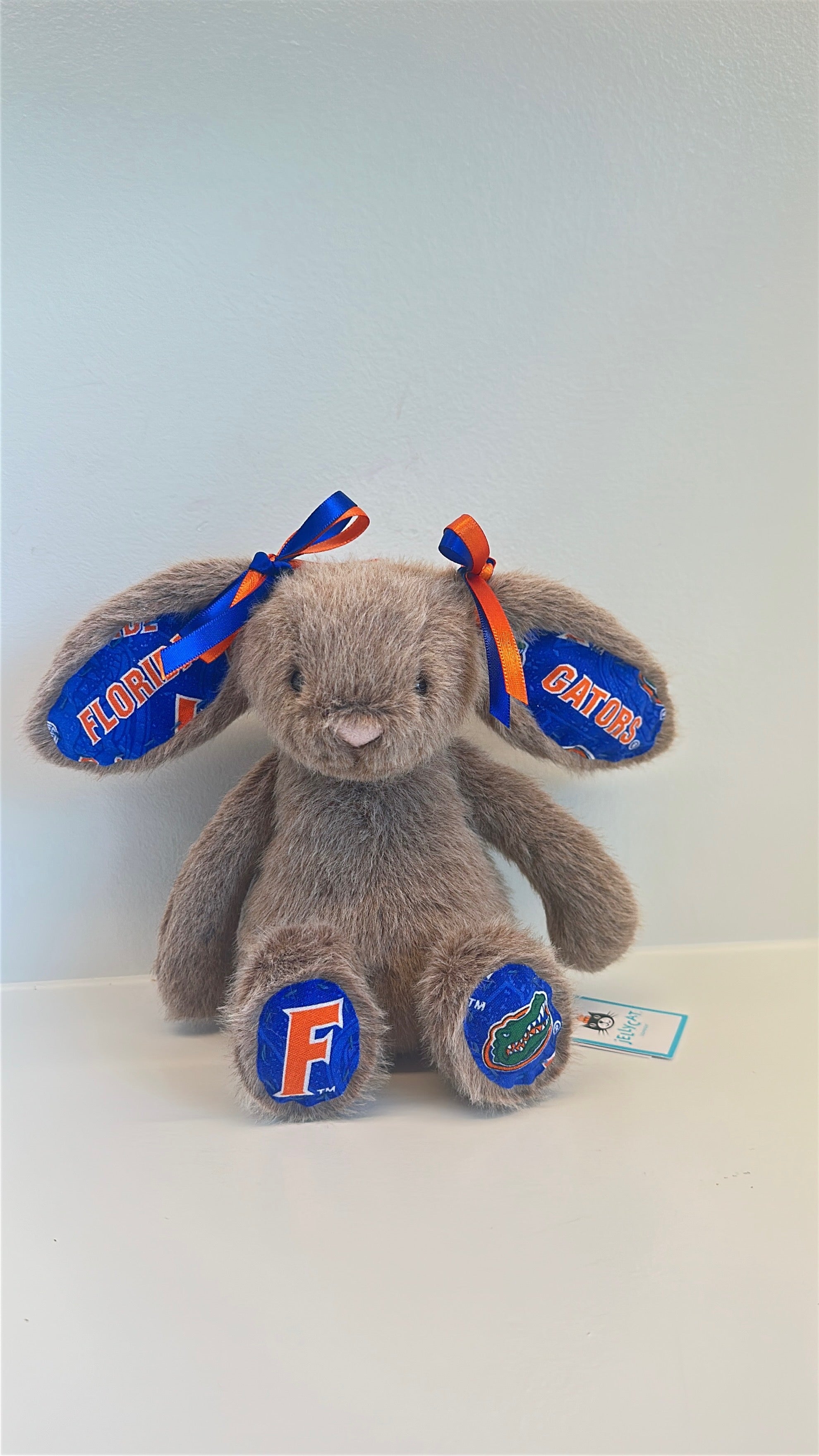 University of Florida Custom College Jellycat Bashful Bunny