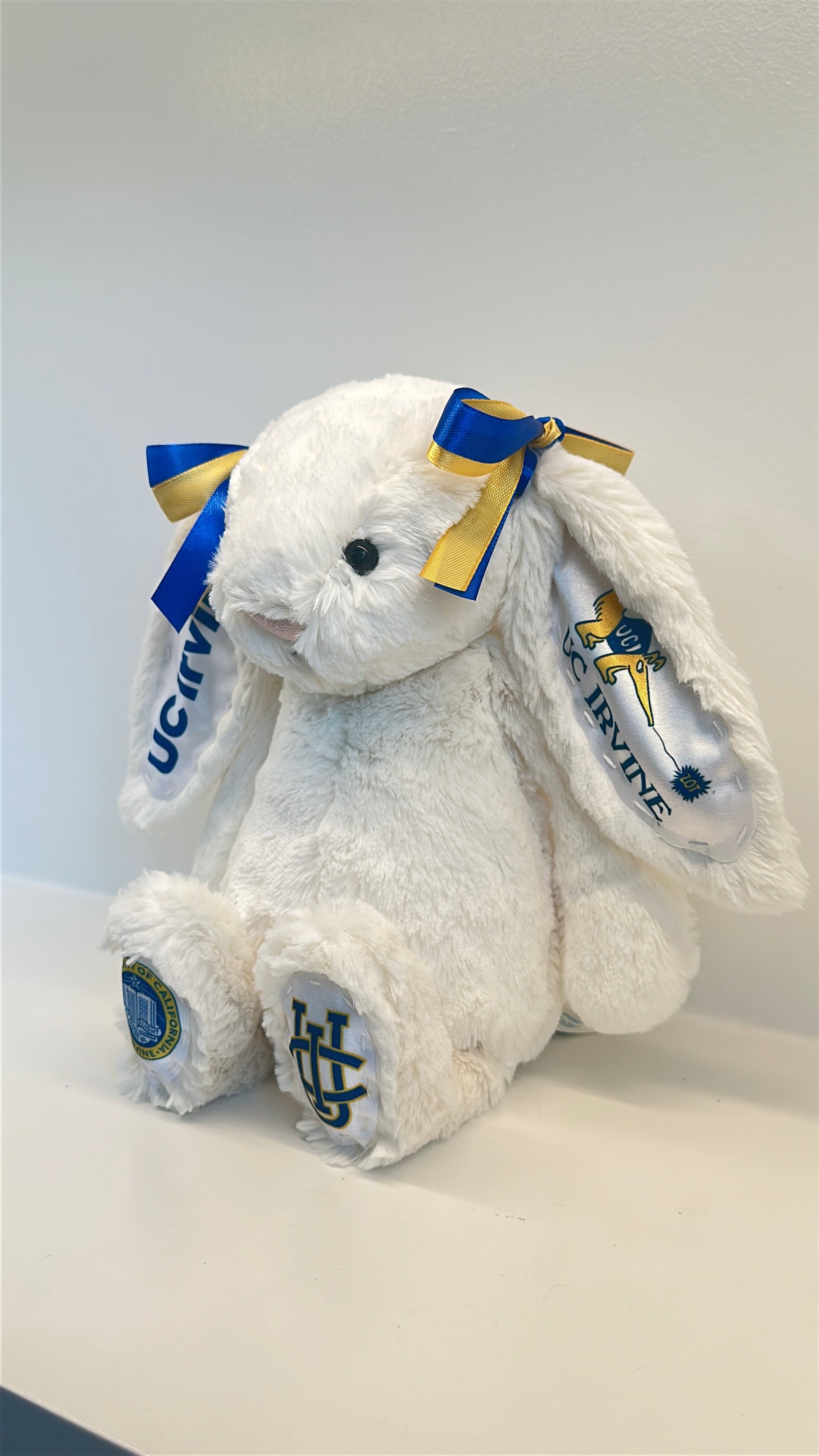 University of California Irvine Fully Custom College Jellycat Bunny