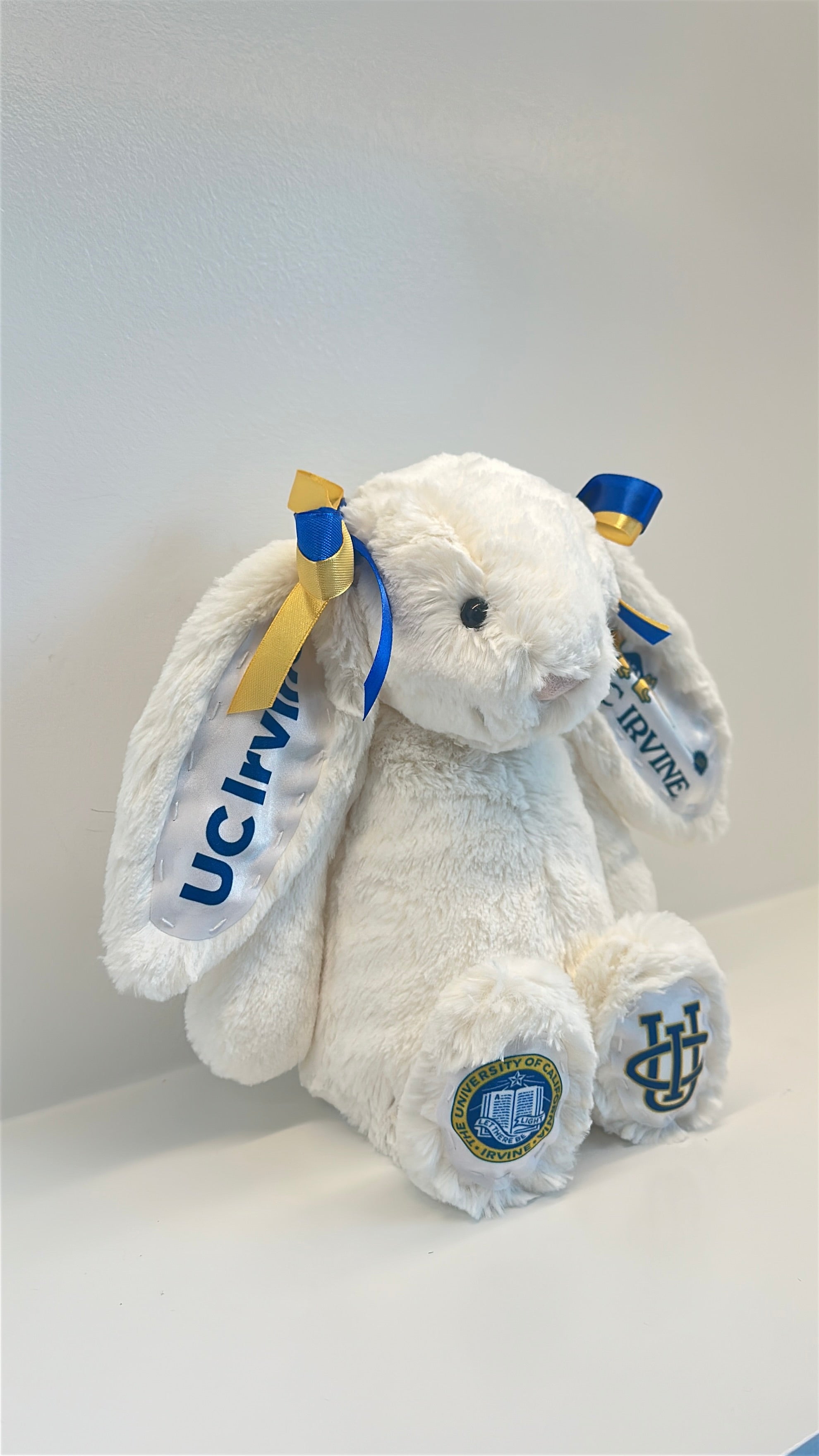 University of California Irvine Fully Custom College Jellycat Bunny