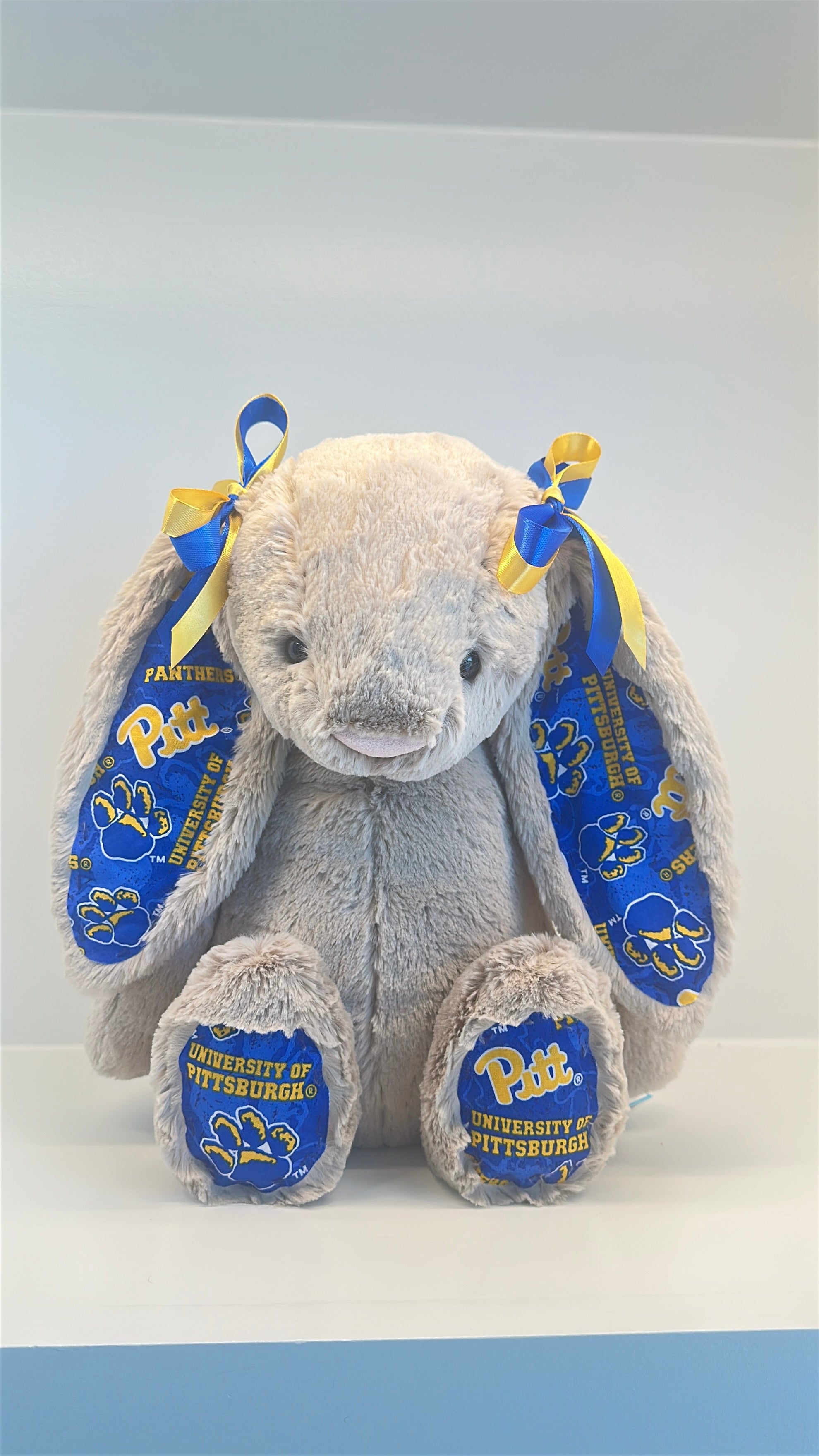 University of Pittsburgh Custom College Jellycat Bashful Bunny