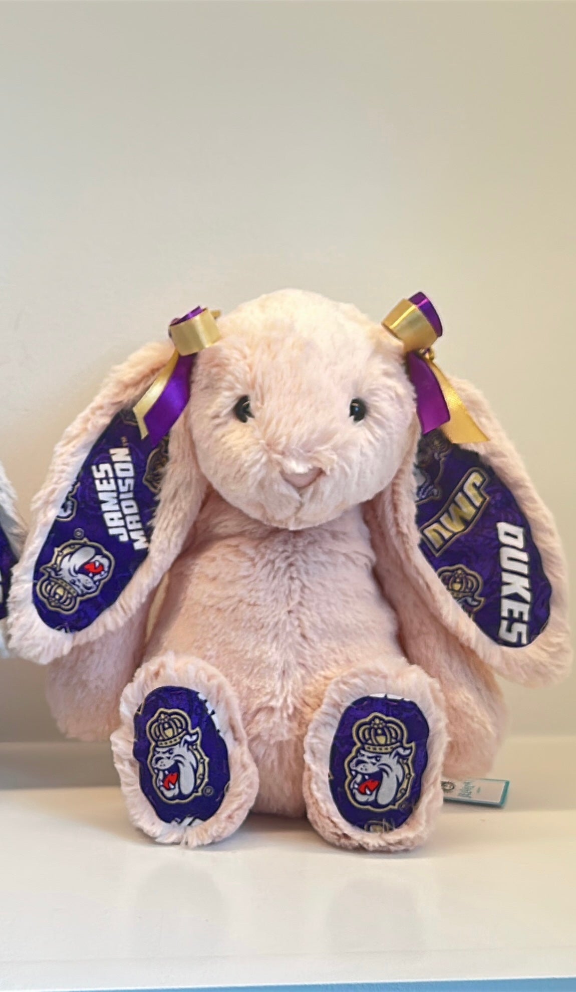 James Madison University College Jellycat Bunny