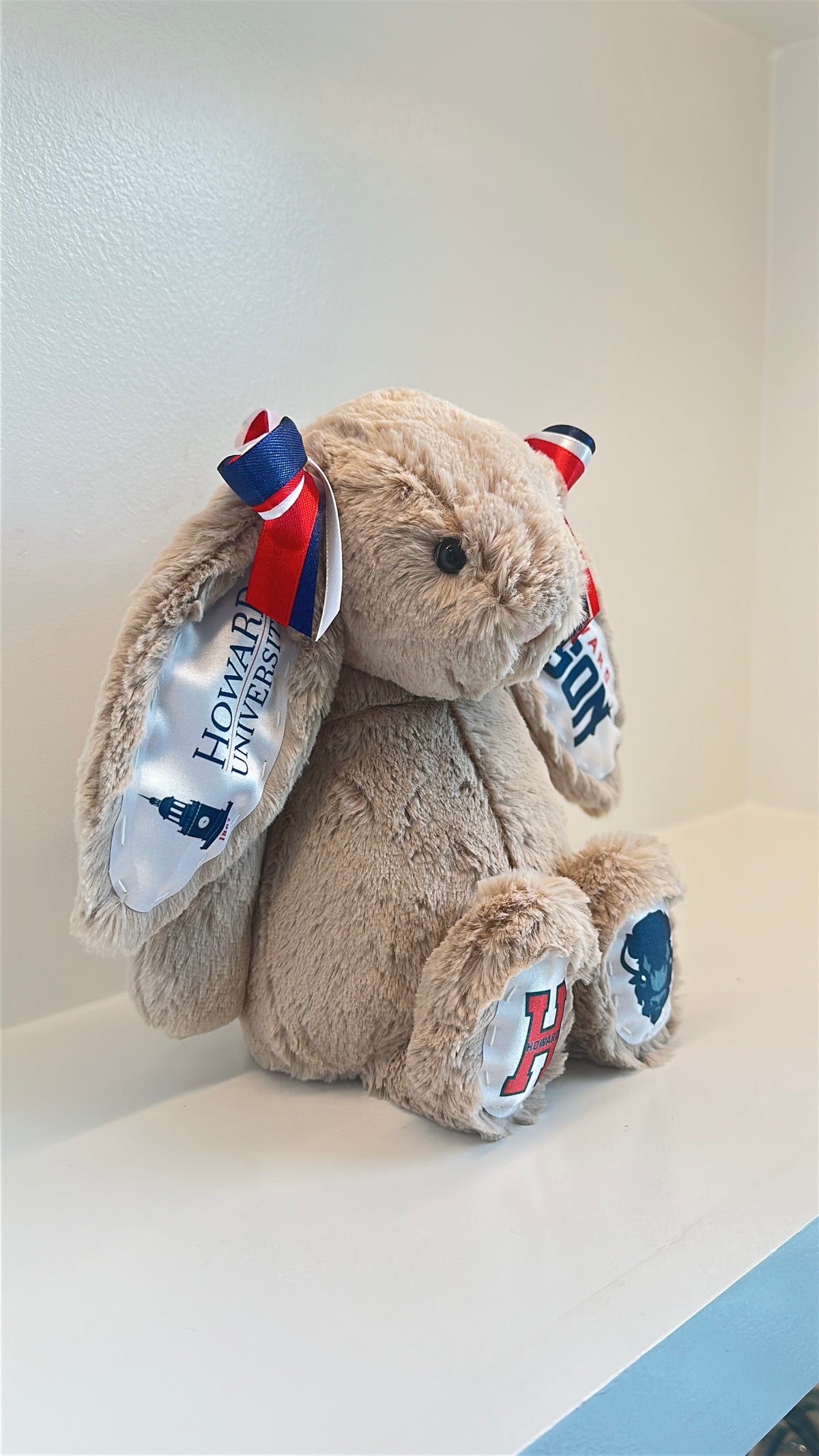 Howard University Fully Custom Jellycat Bunny