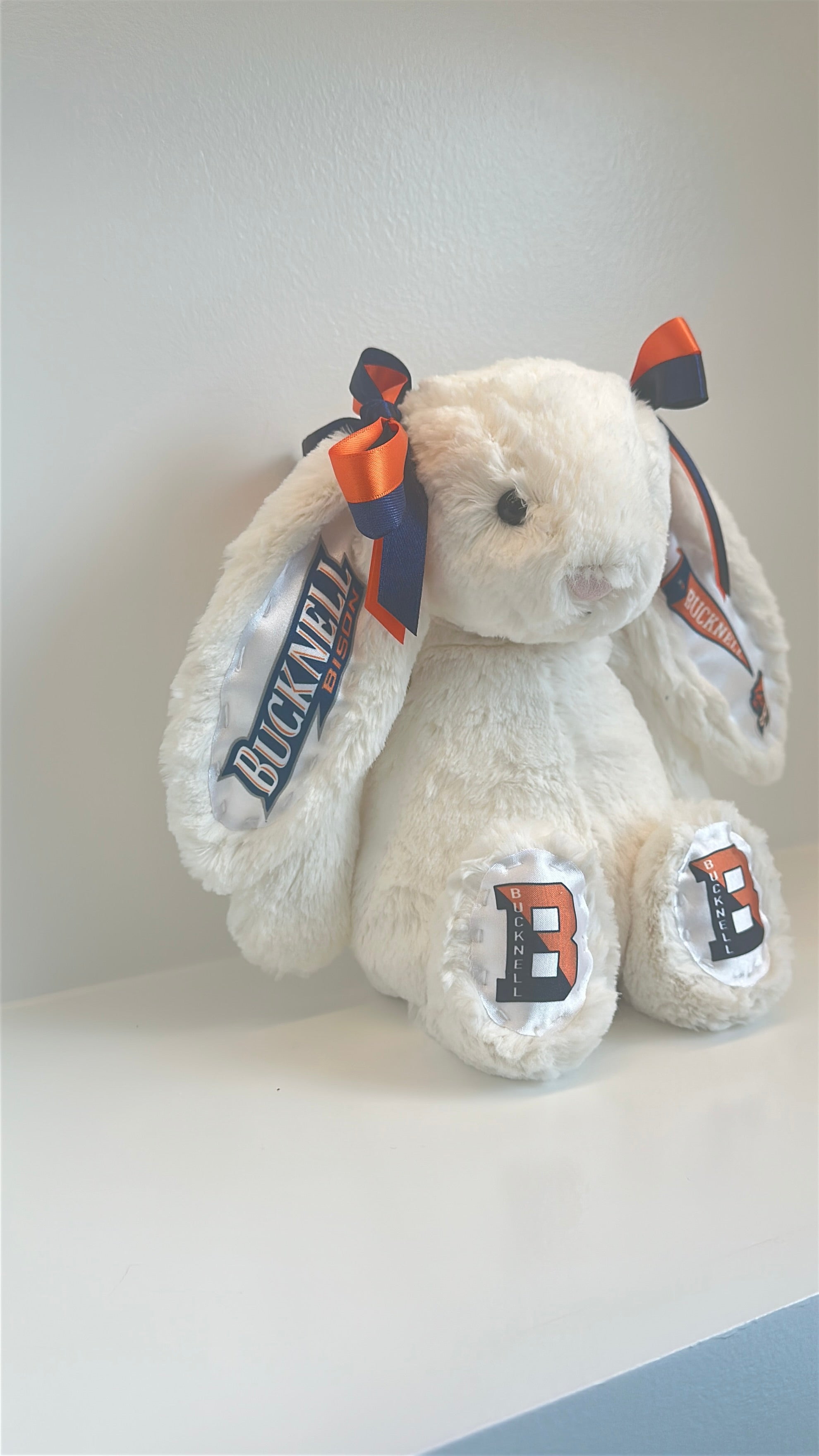 Bucknell Fully Custom College Jellycat Bunny