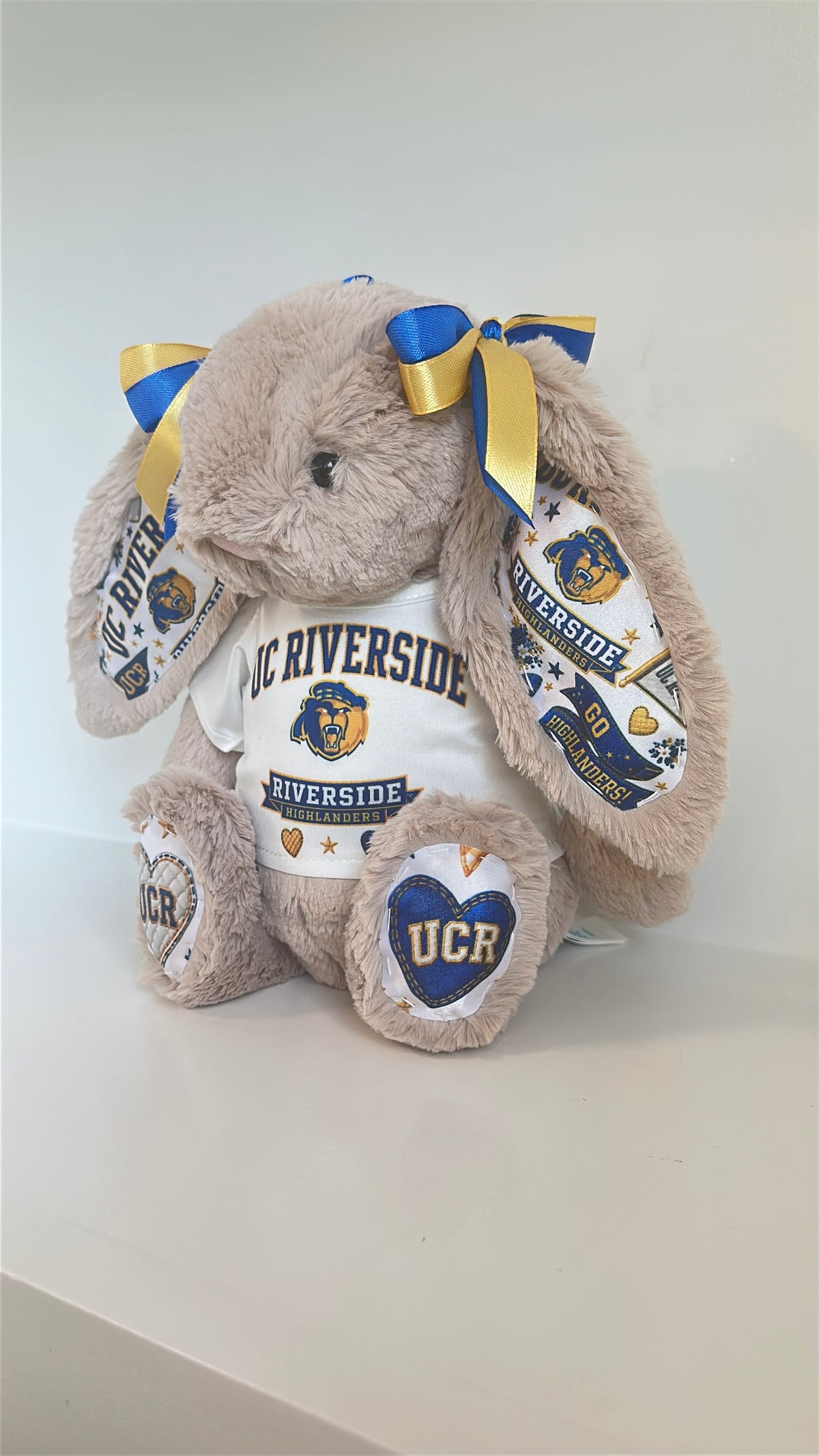 University of California Riverside (UCR) Fully Custom Jellycat Bunny