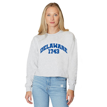 Delaware Established Crewneck
