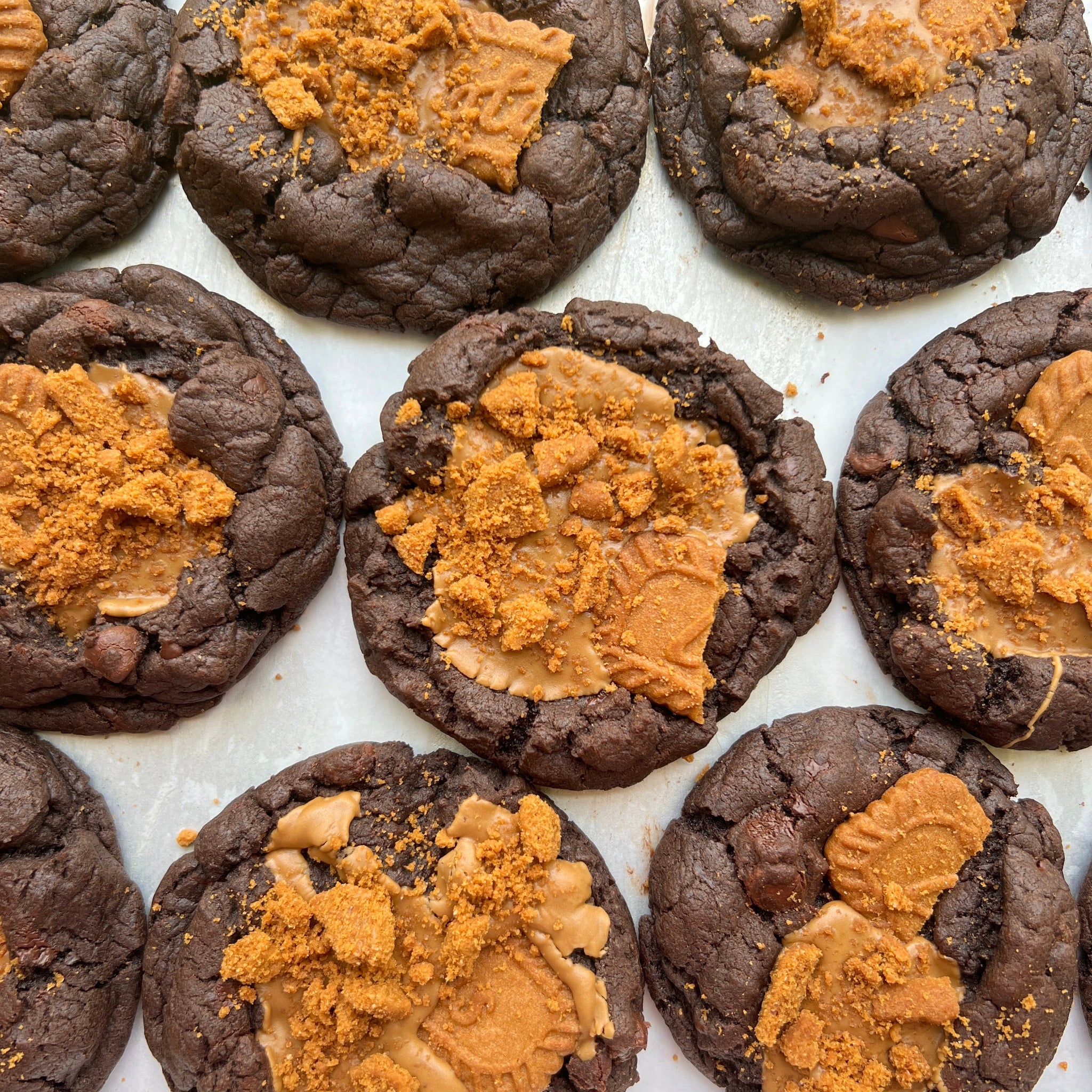 Double Chocolate Biscoff Cookies