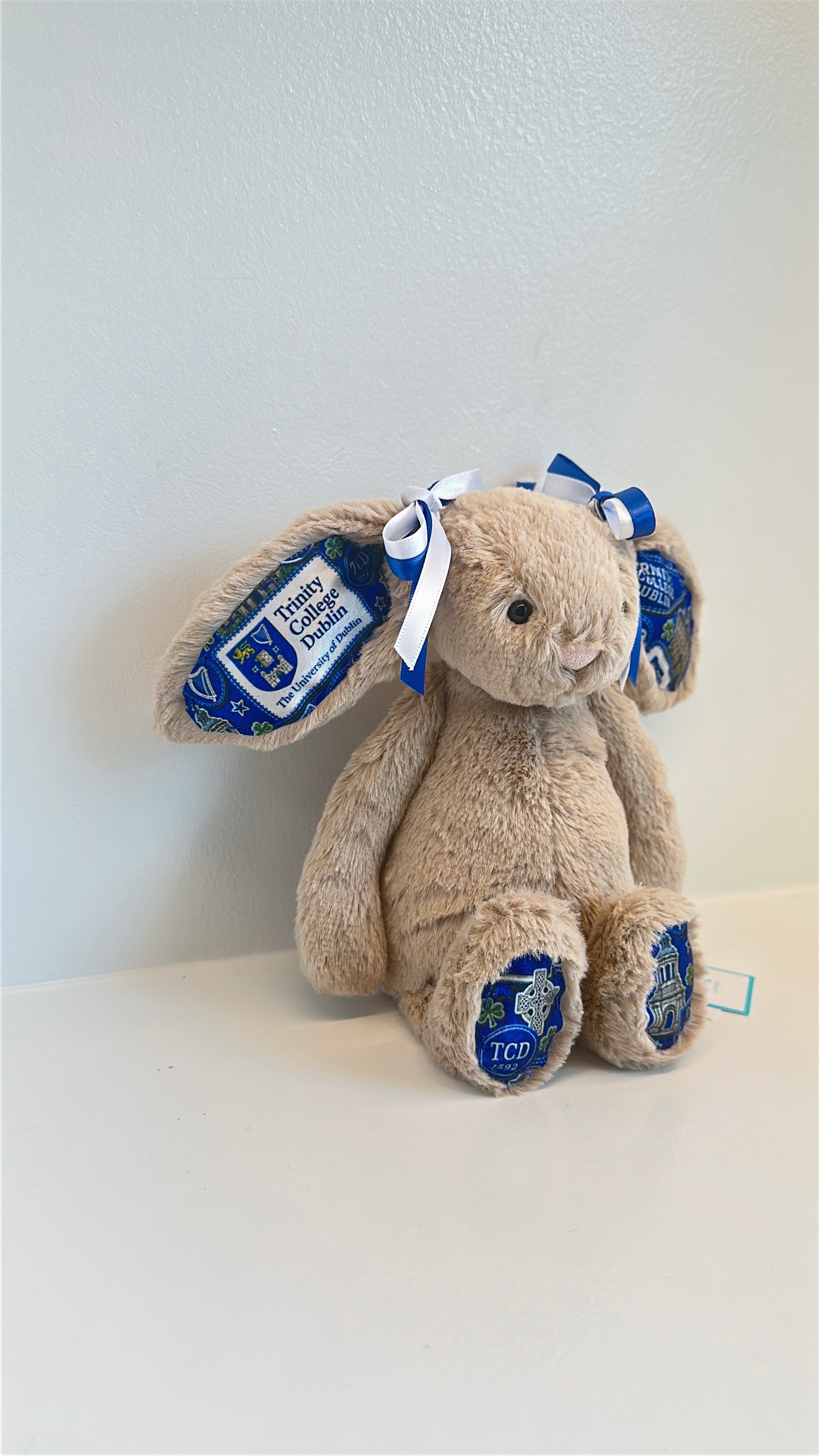 Trinity College Dublin Custom College Jellycat Bunny