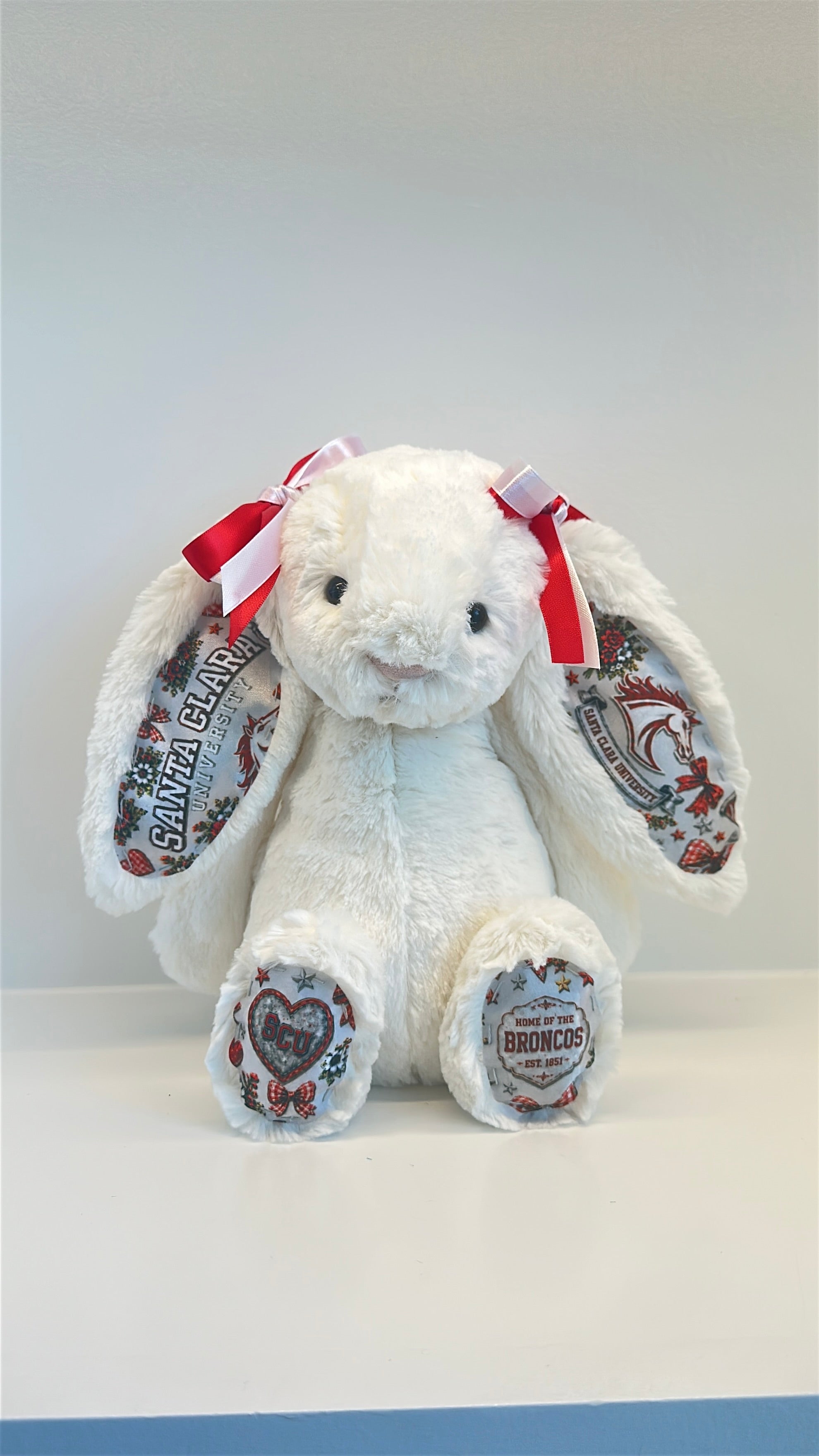 Santa Clara University Fully Custom College Jellycat Bunny