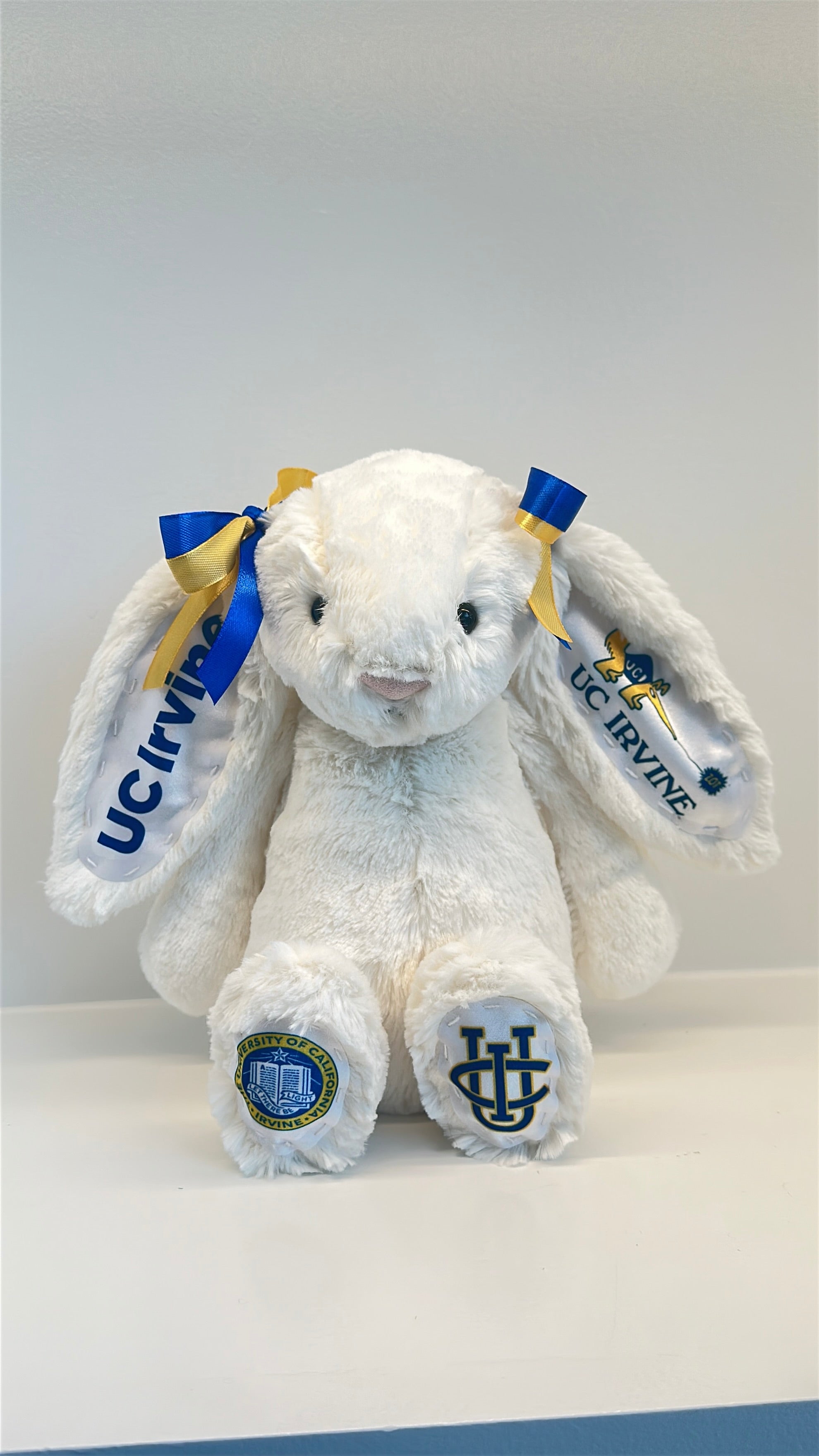 University of California Irvine Fully Custom College Jellycat Bunny