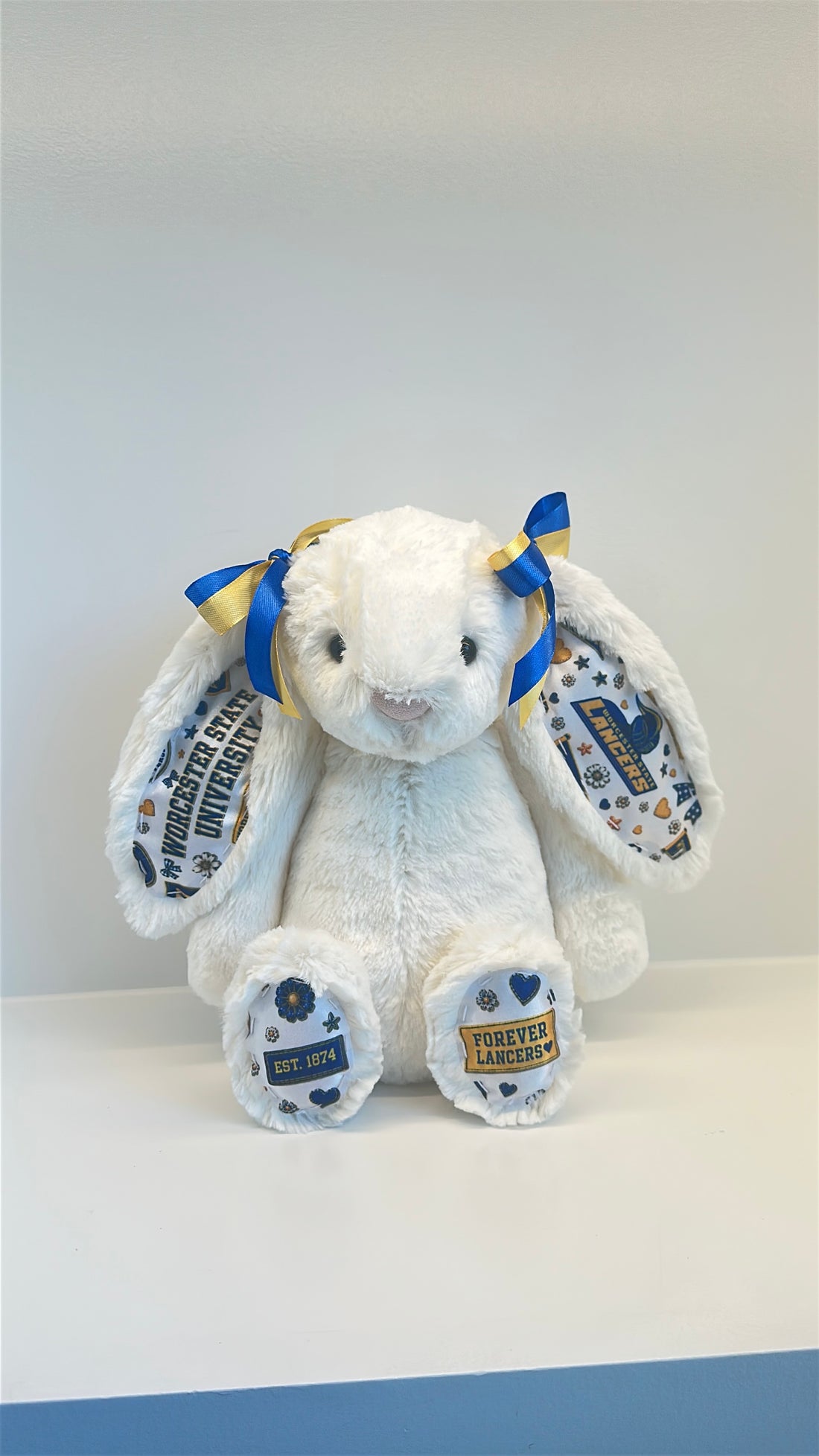 Worcester State University Fully Custom Jellycat Bunny