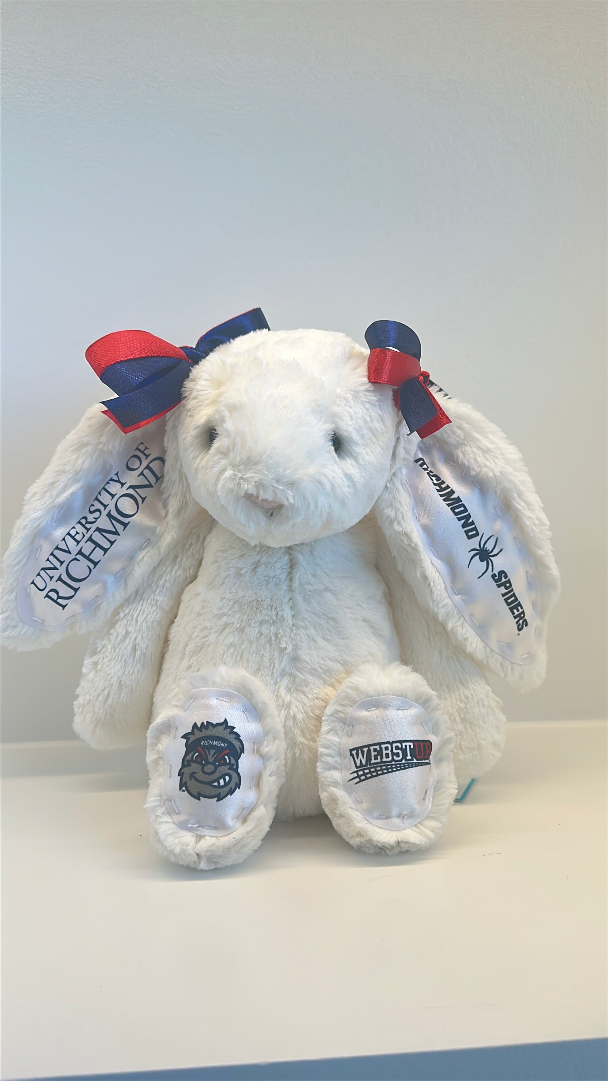 University of Richmond Custom College Jellycat Bashful Bunny