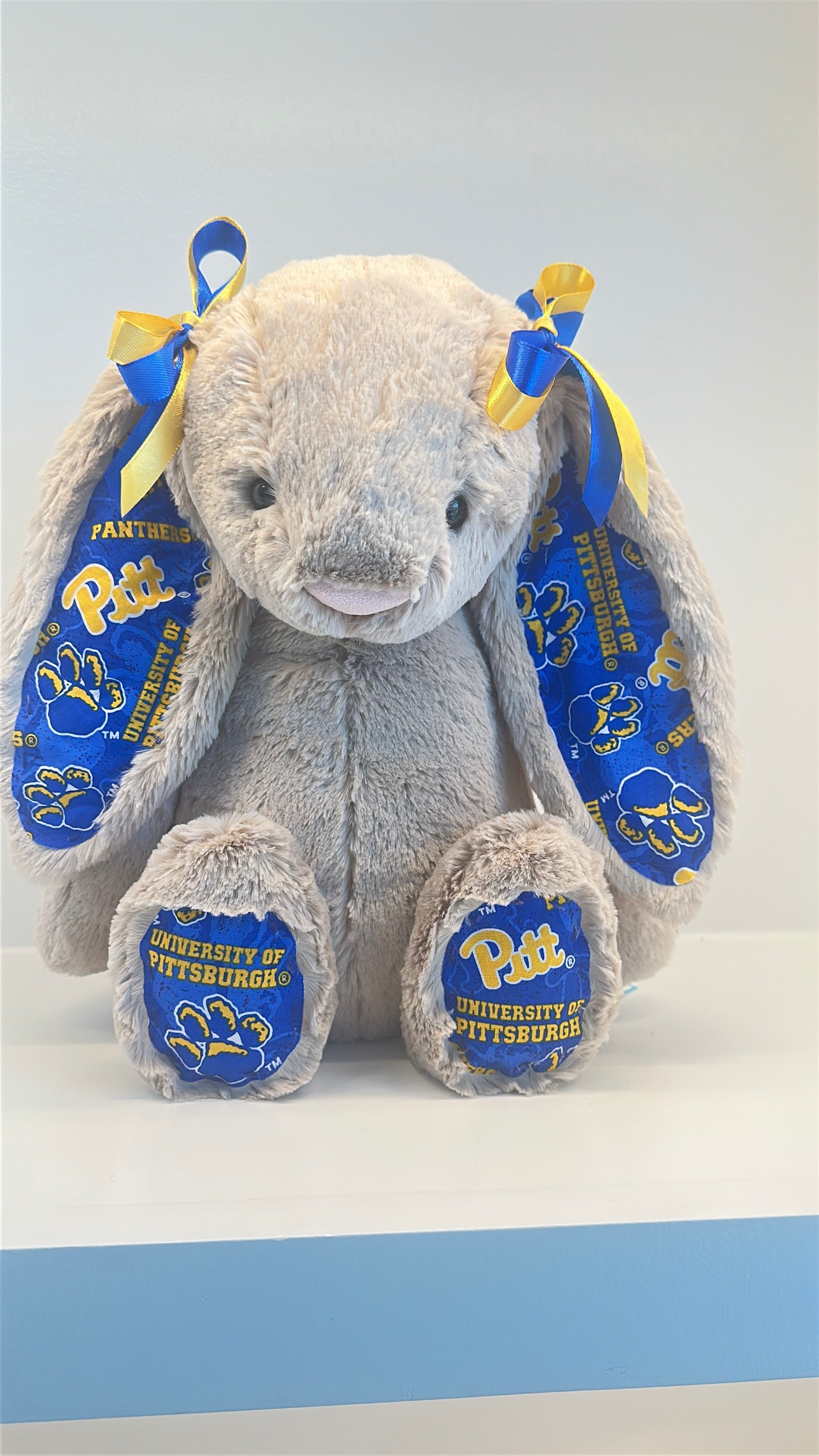 University of Pittsburgh Custom College Jellycat Bashful Bunny