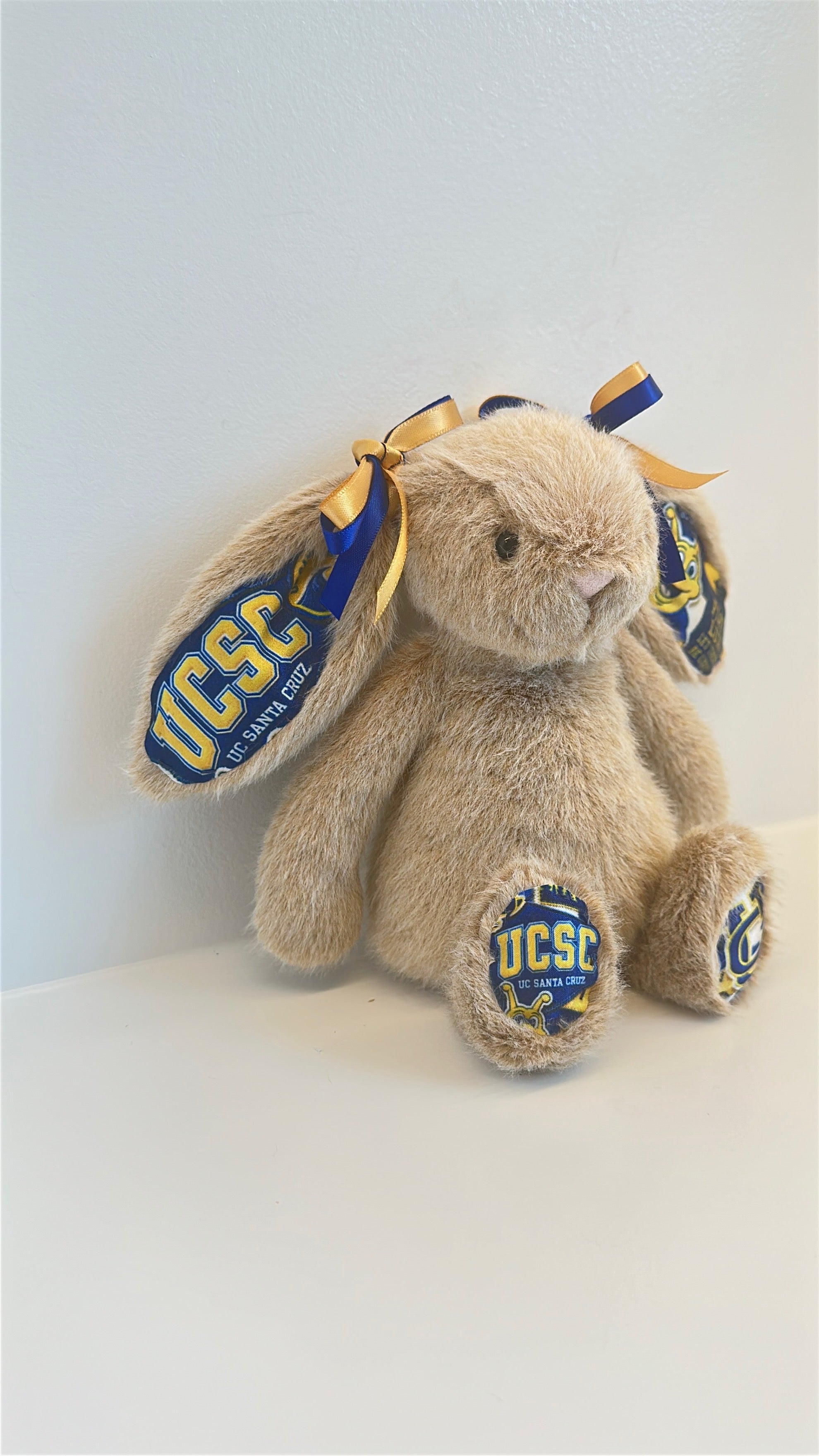 University of California Santa Cruz Jellycat Plush