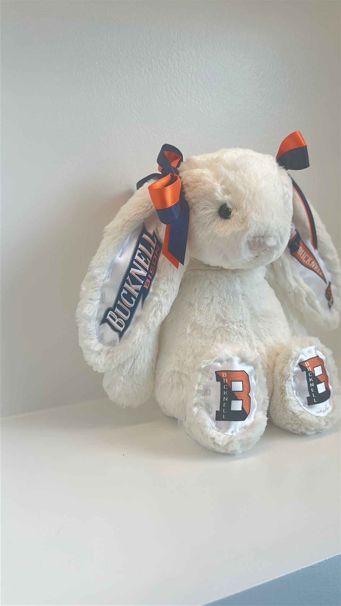 Bucknell Fully Custom College Jellycat Bunny