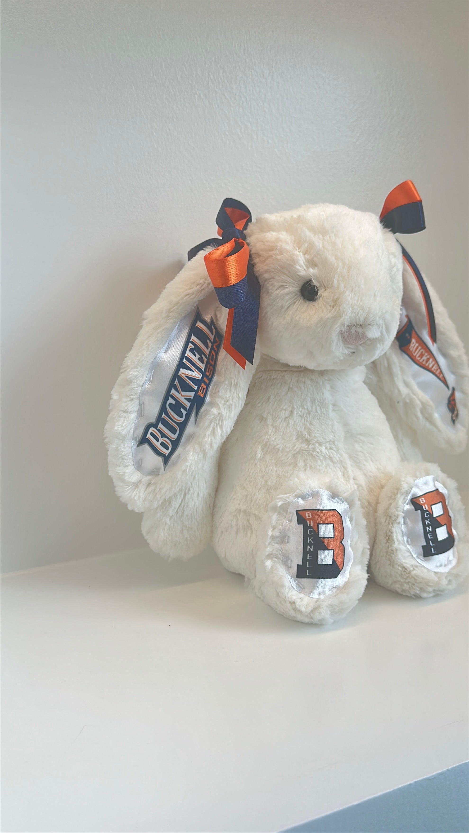 Bucknell Fully Custom College Jellycat Bunny