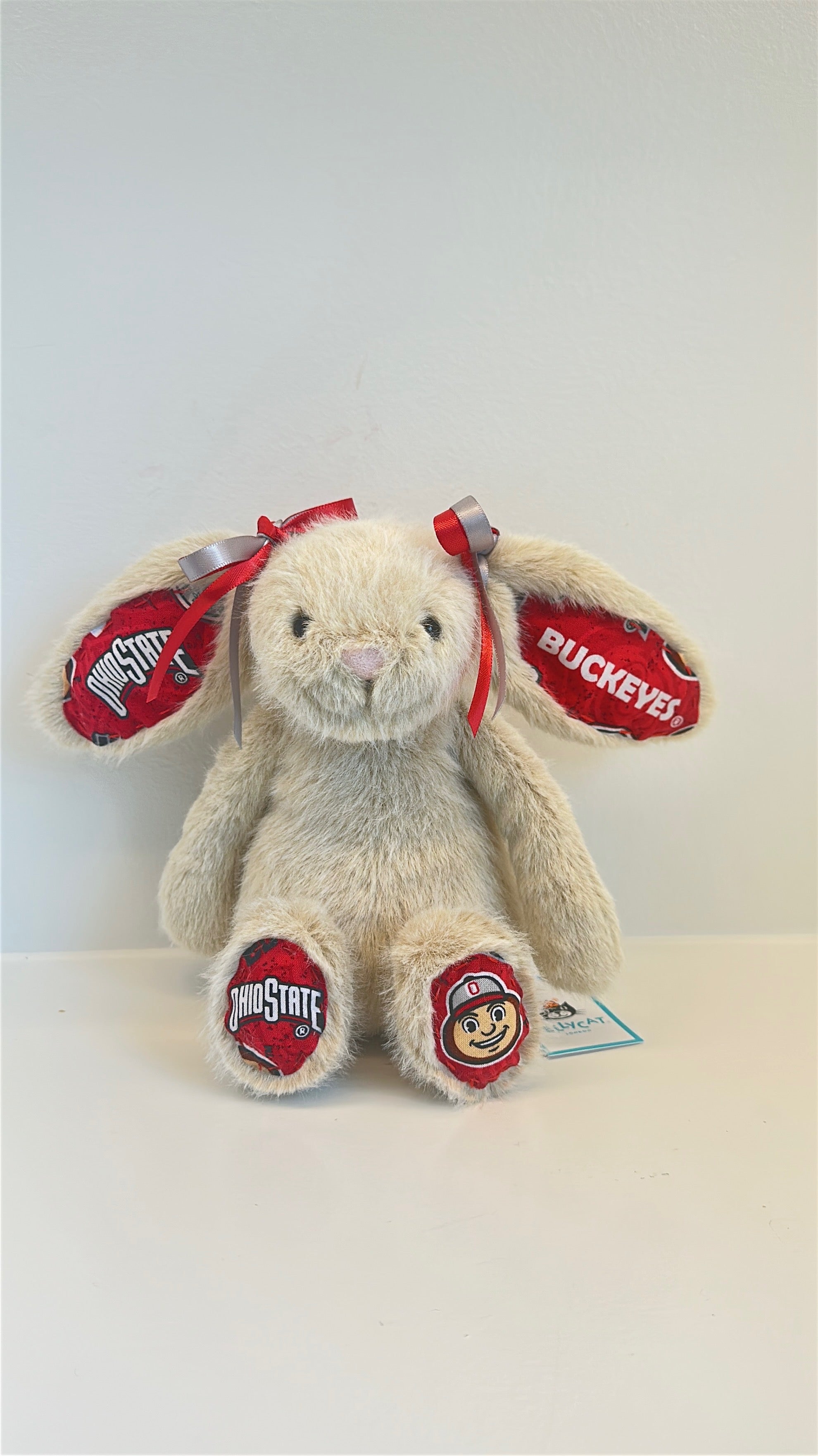 Ohio State University (OSU)  Custom College Jellycat Bashful Bunny