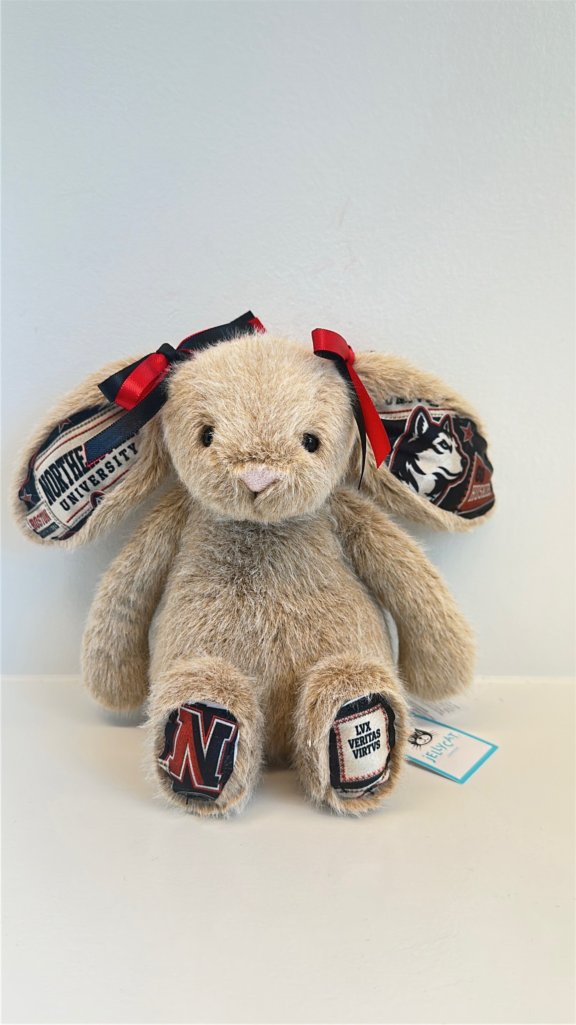 Northeastern University Custom College Jellycat Bunny