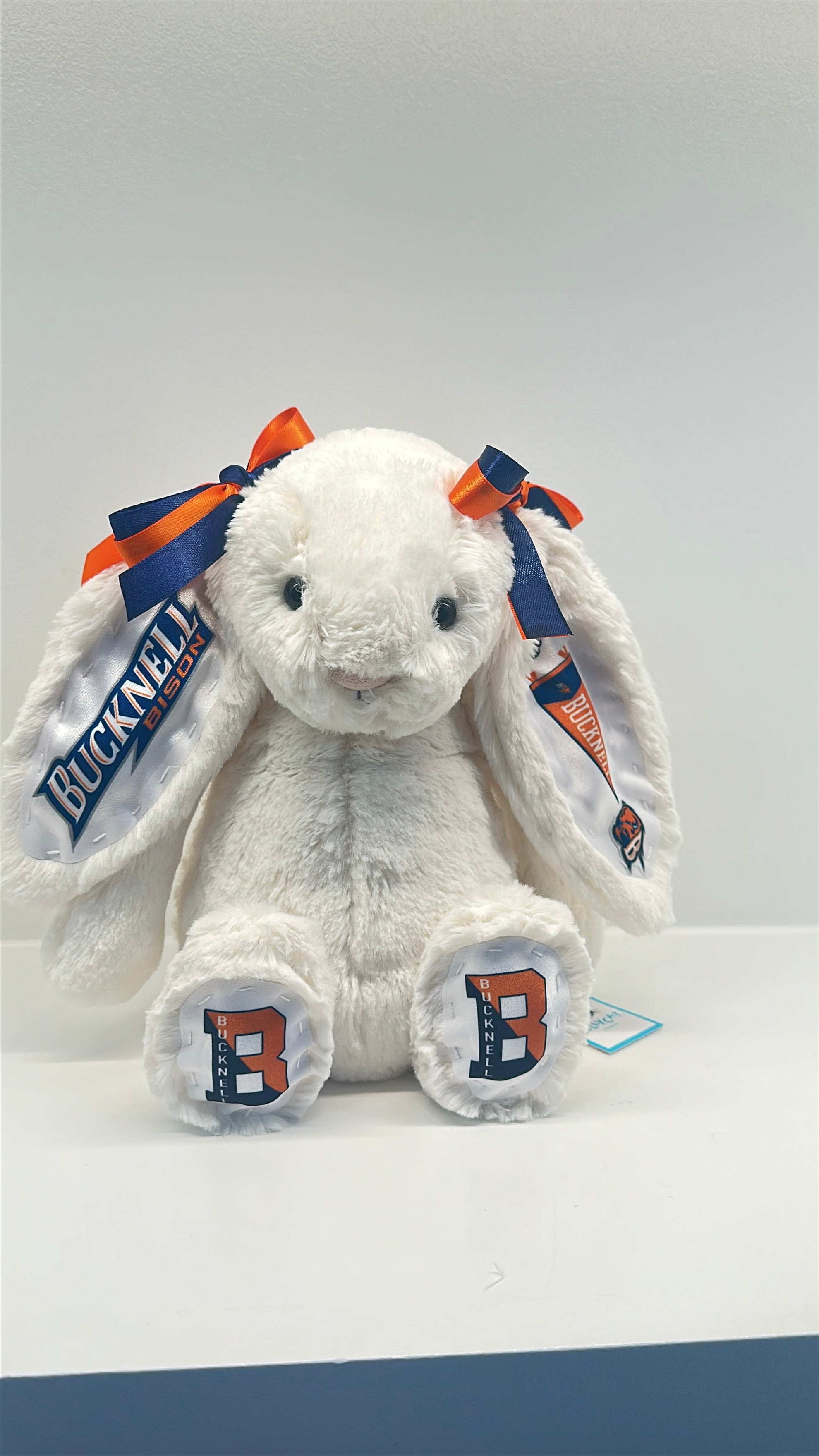 Bucknell Fully Custom College Jellycat Bunny