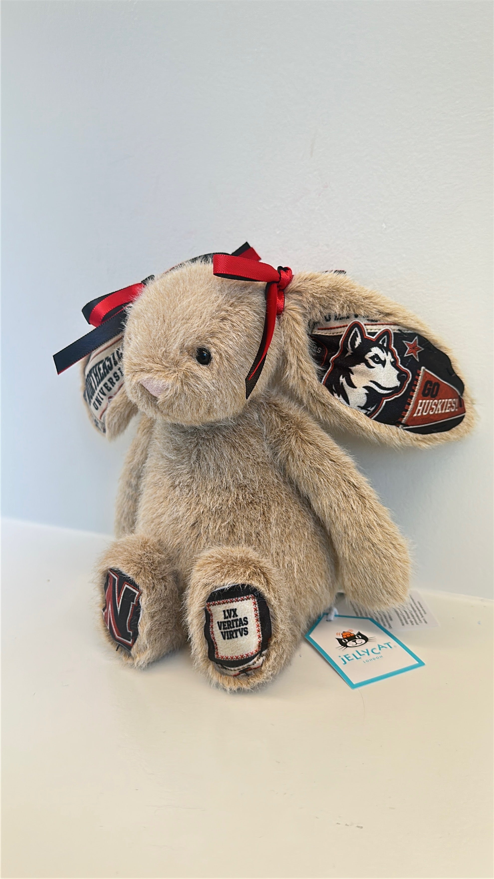 Northeastern University Custom College Jellycat Bunny