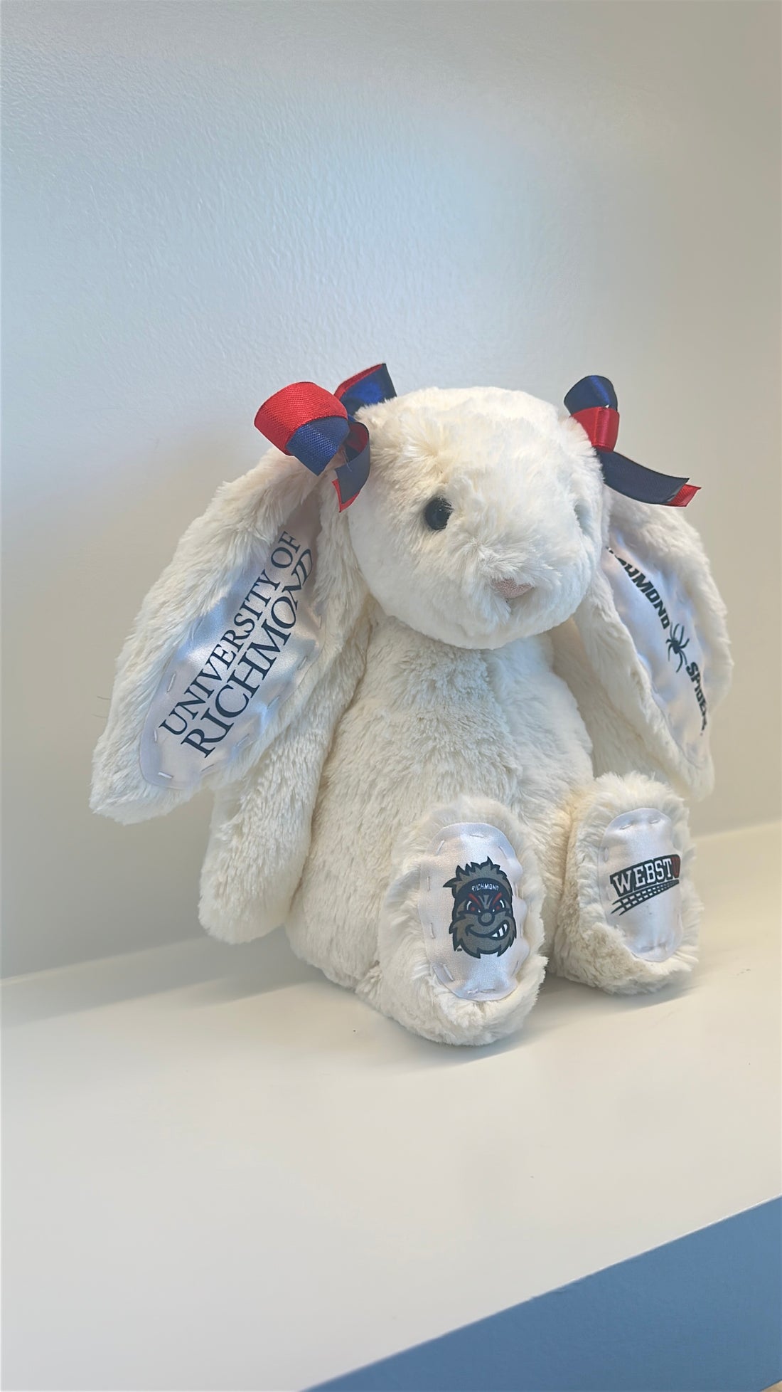 University of Richmond Custom College Jellycat Bashful Bunny