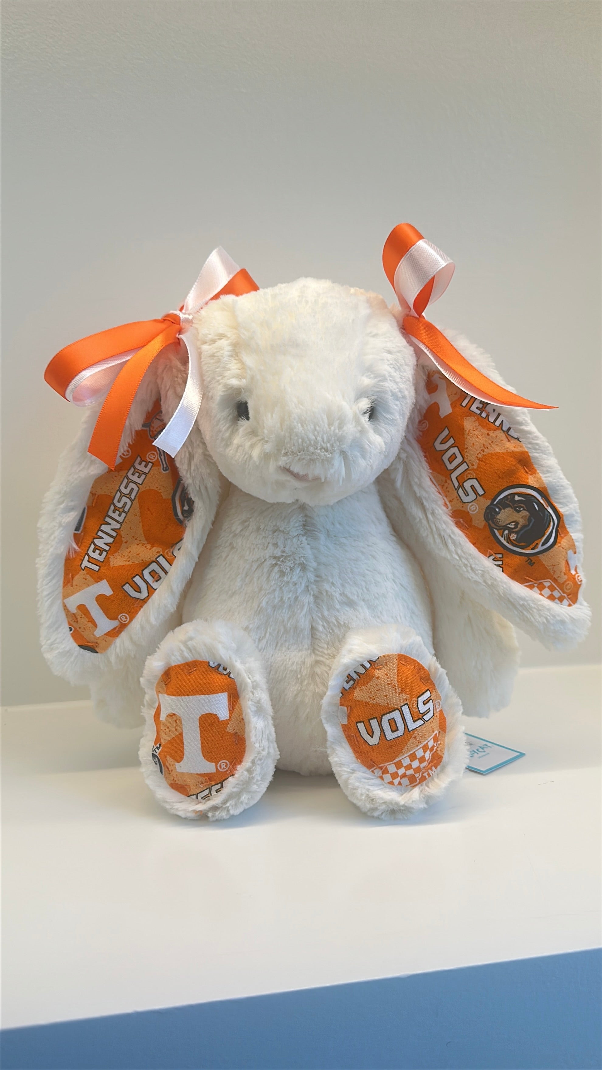 University of Tennessee Custom College Jellycat Bashful Bunny