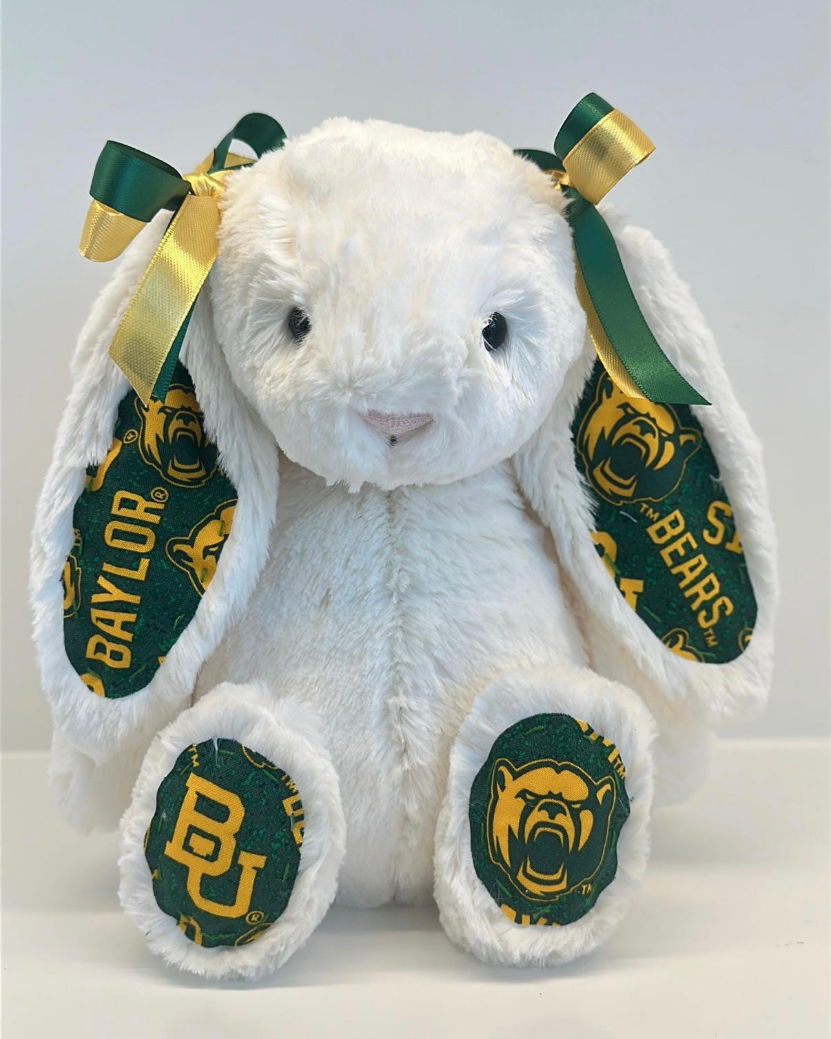 Send Us Your Stuffed Animal for a Campus Makeover