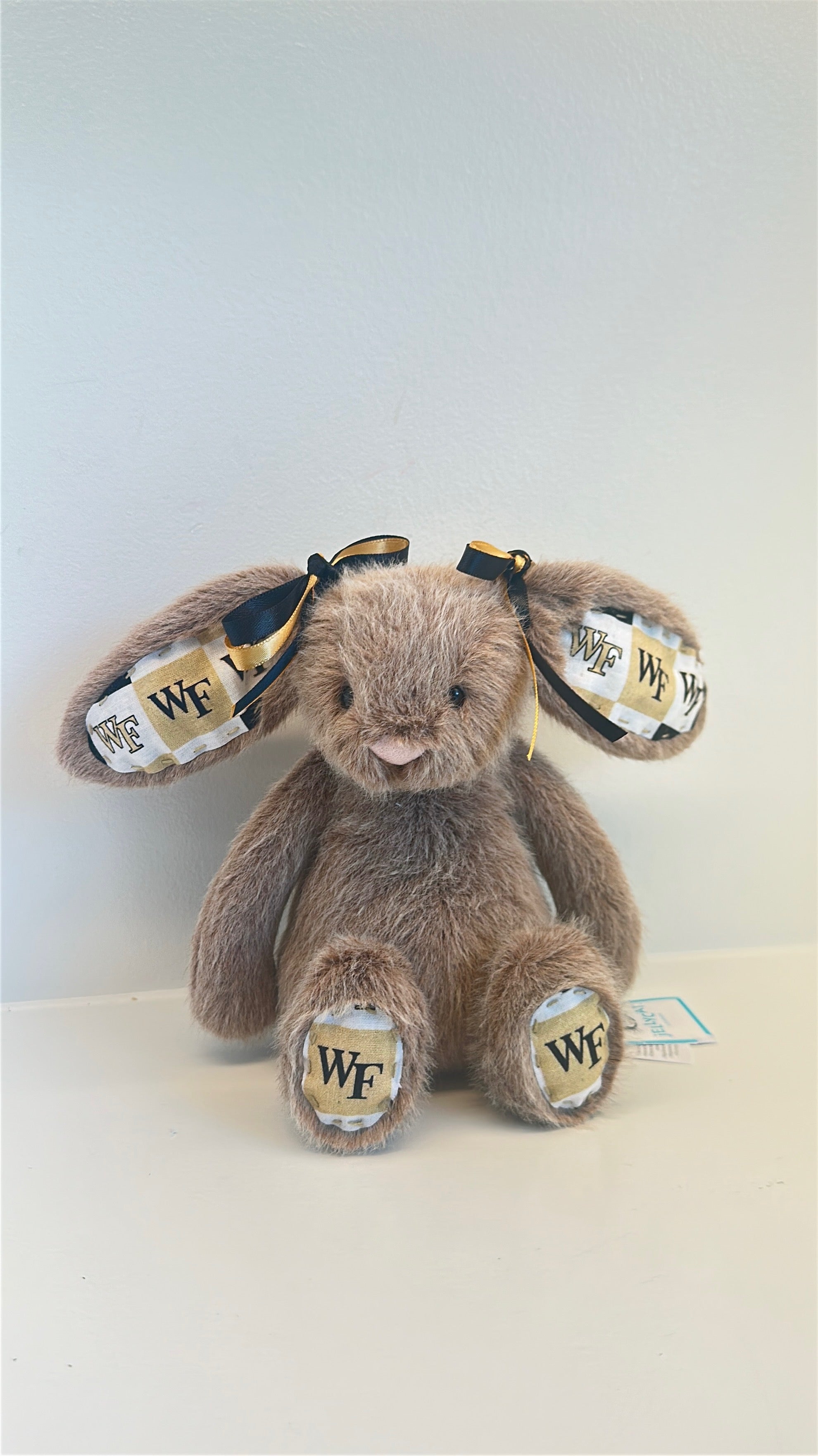 Wake Forest University Custom College Jellycat Bashful Bunny