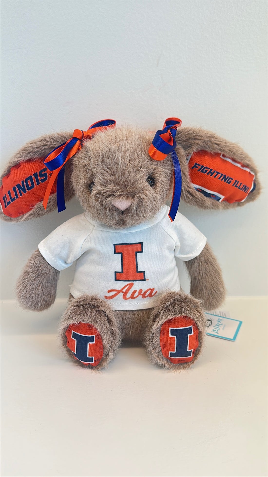 University of Illinois Custom College Jellycat Bashful Bunny